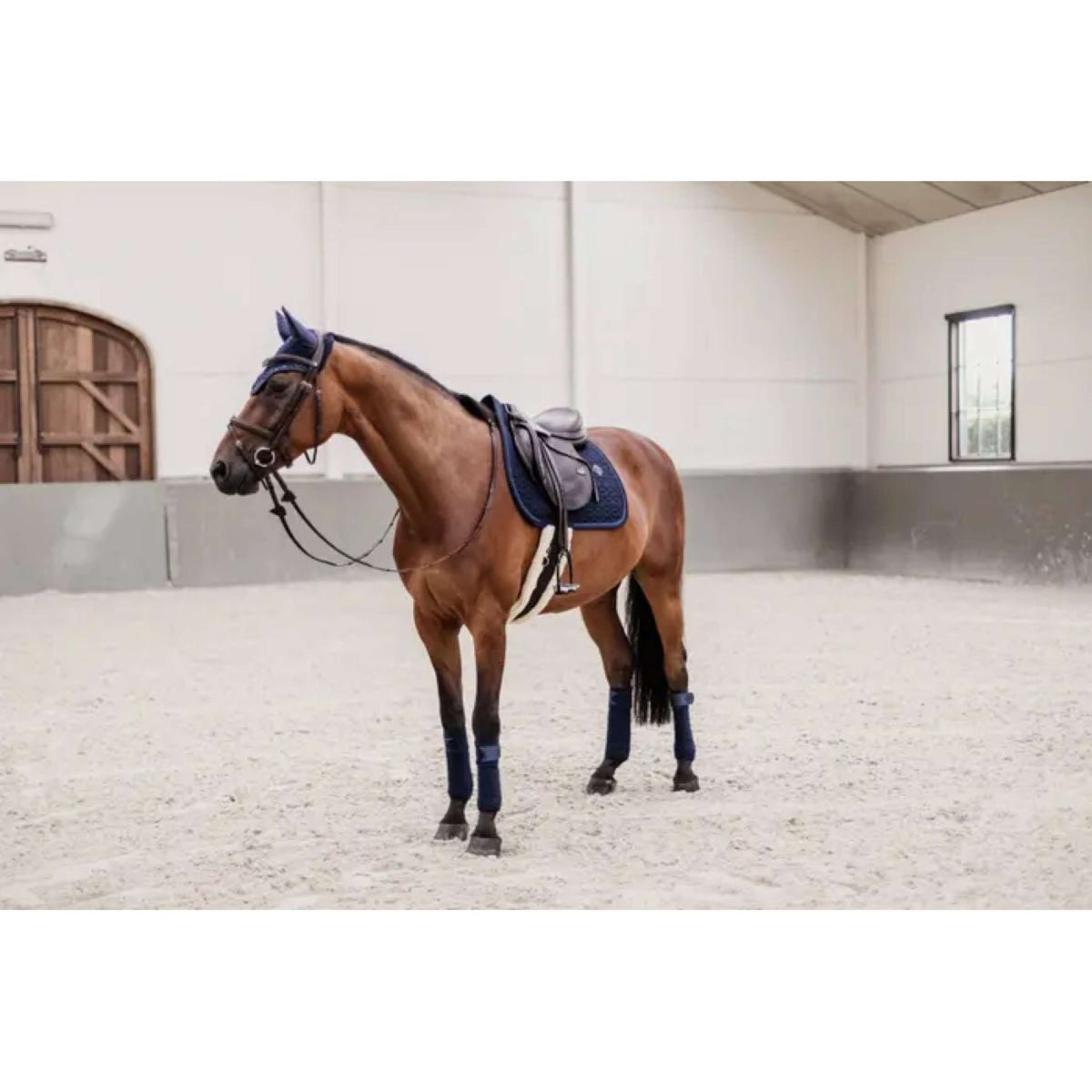 Kentucky Saddlepad Glitter Rope Jumping Navy