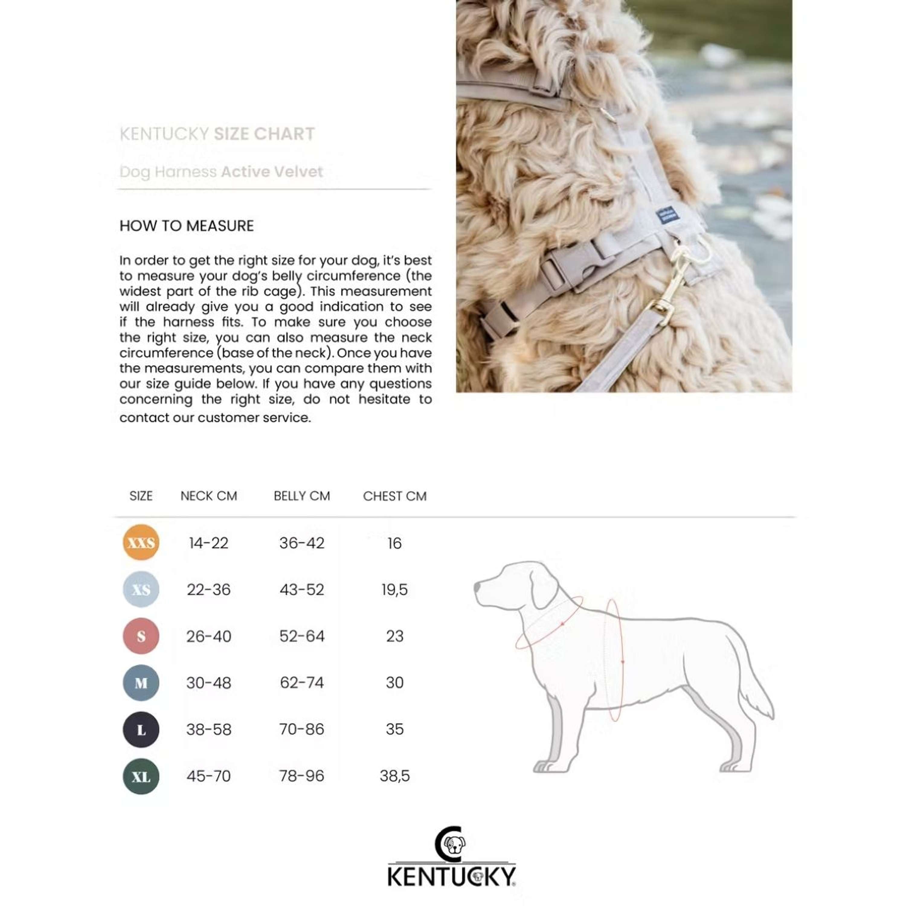 Kentucky Harness Active Velvet Beige