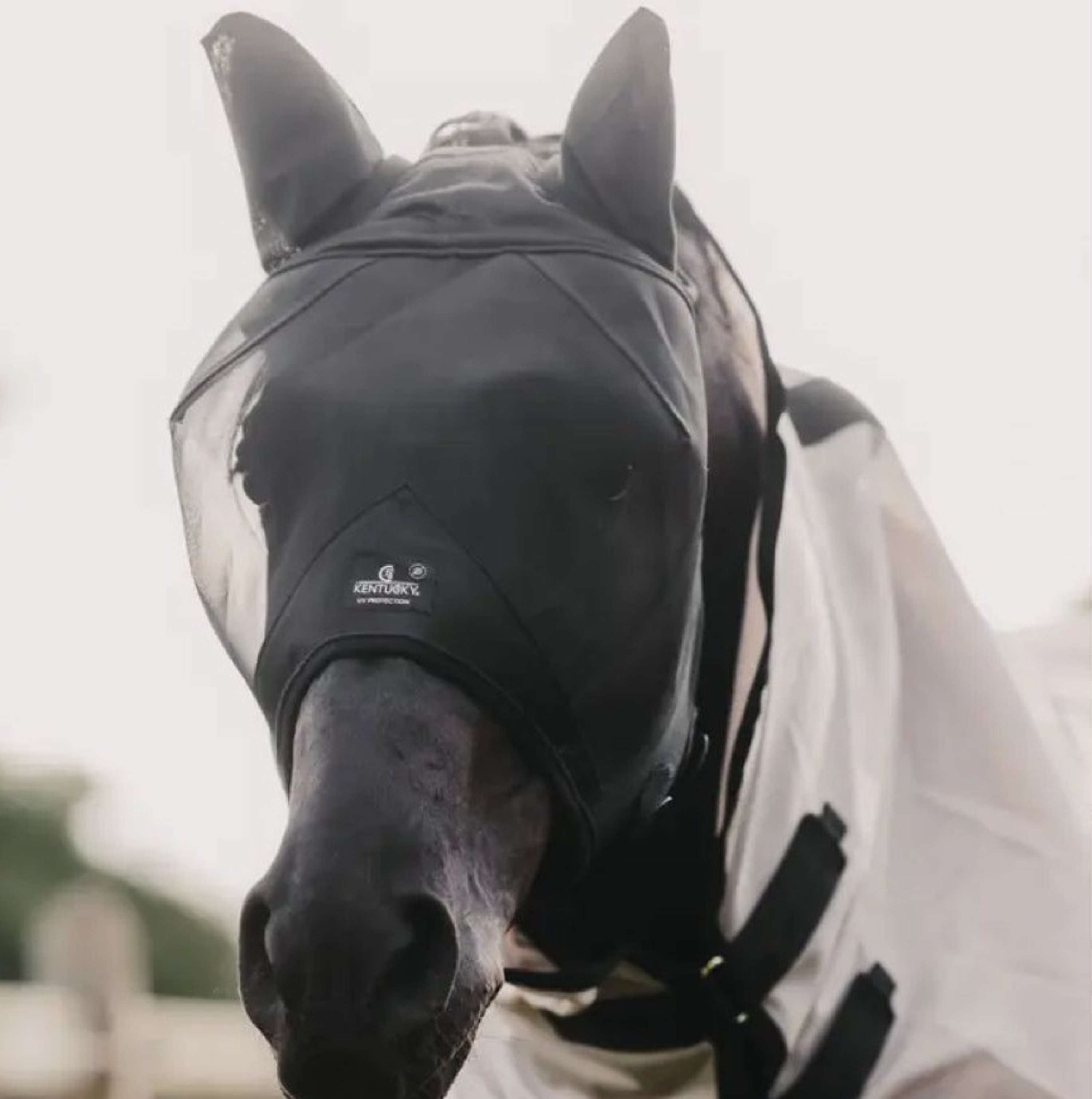 Kentucky Fly Mask Classic with Ears Black