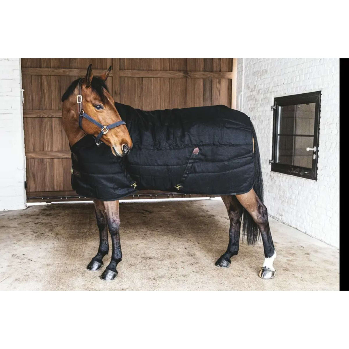 Kentucky Stable Rug Classic 100gr Black