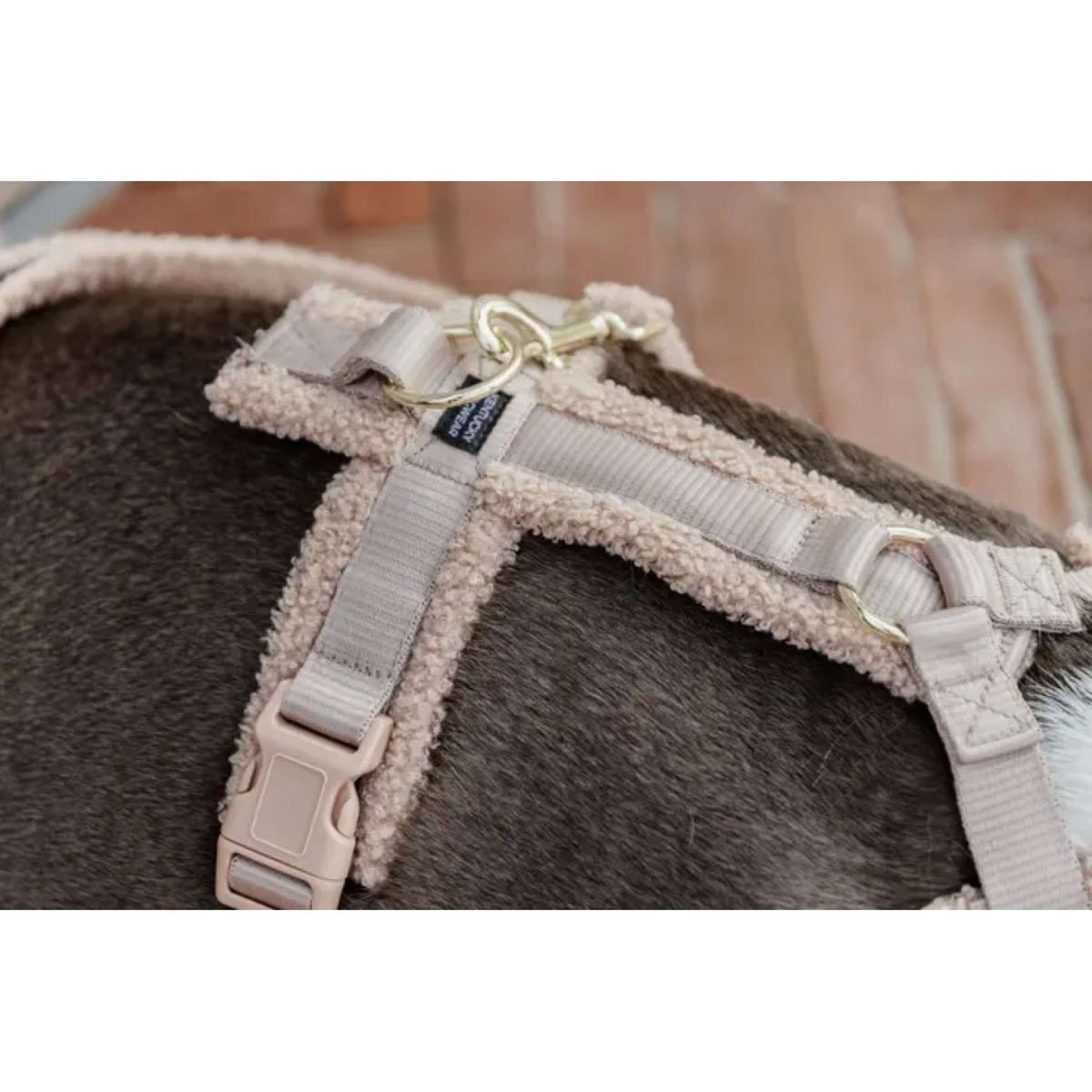 Kentucky Harness Teddy Fleece Beige