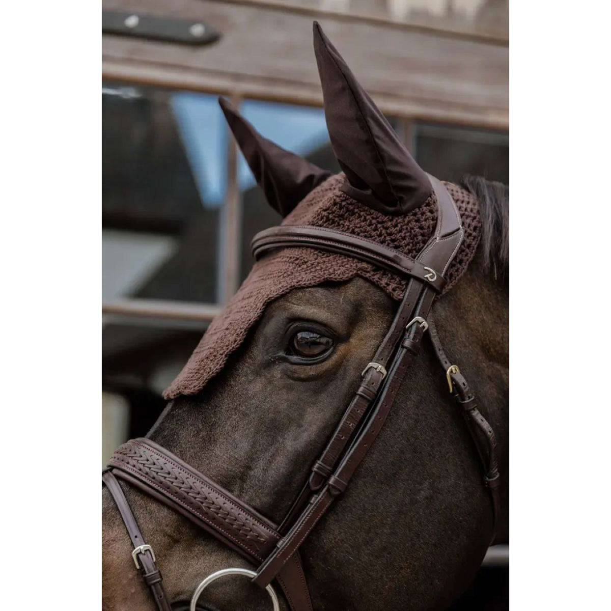 Kentucky Ear Cover Wellington Wave Brown