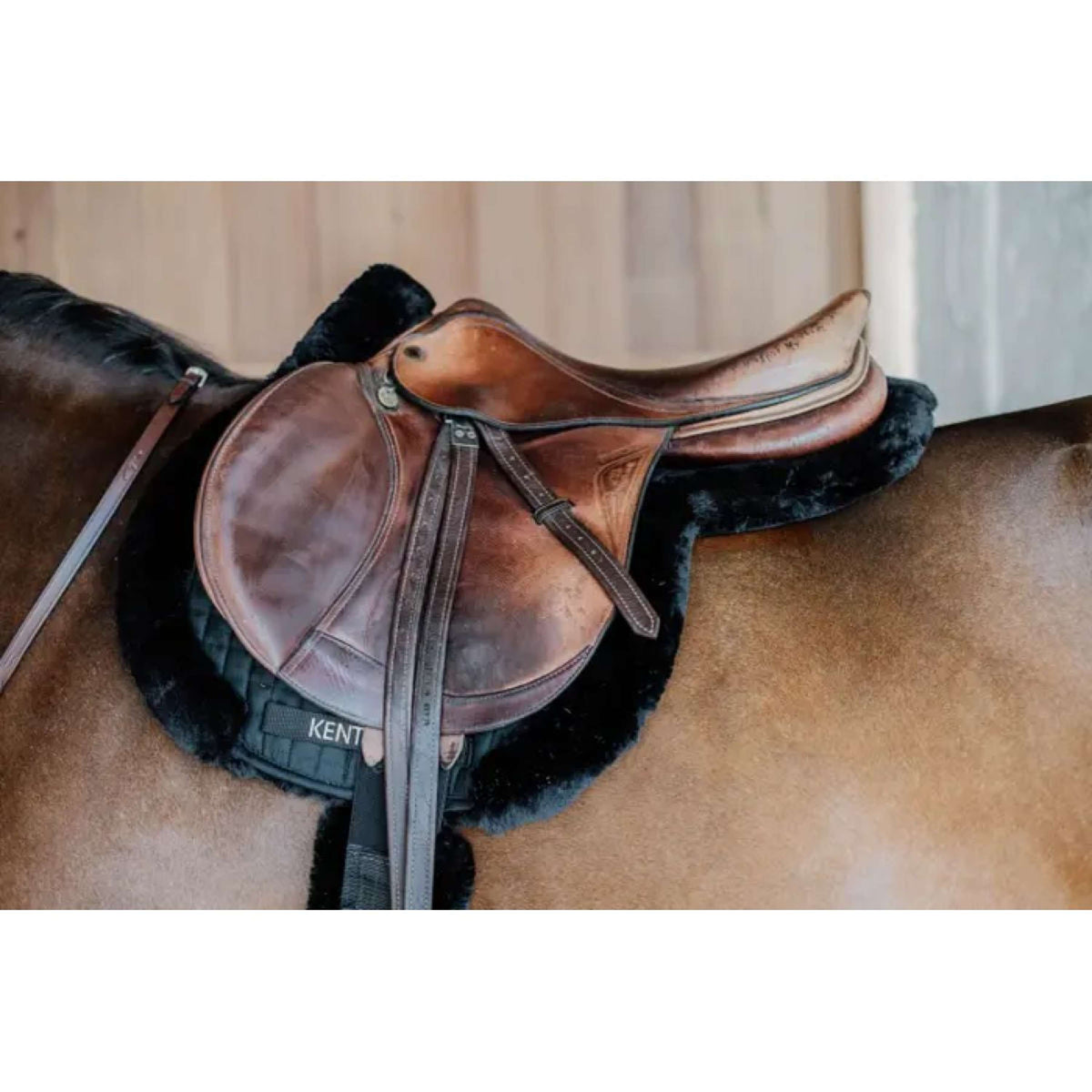 Kentucky Saddlepad Hunter Wool Jumping Black