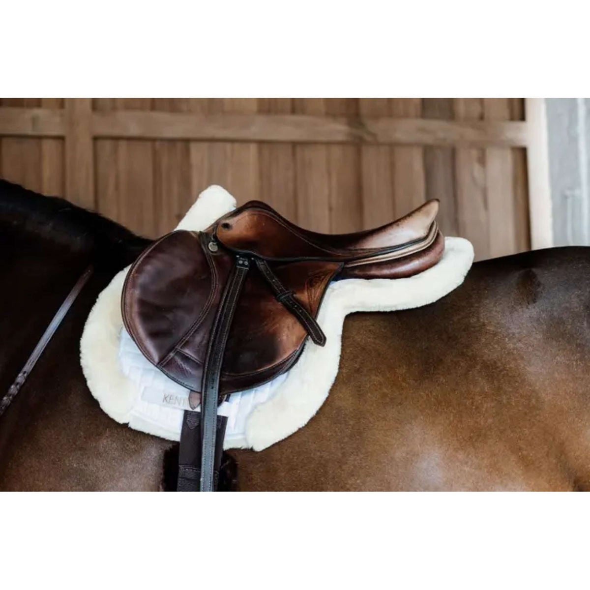 Kentucky Saddlepad Hunter Wool Jumping Naturel