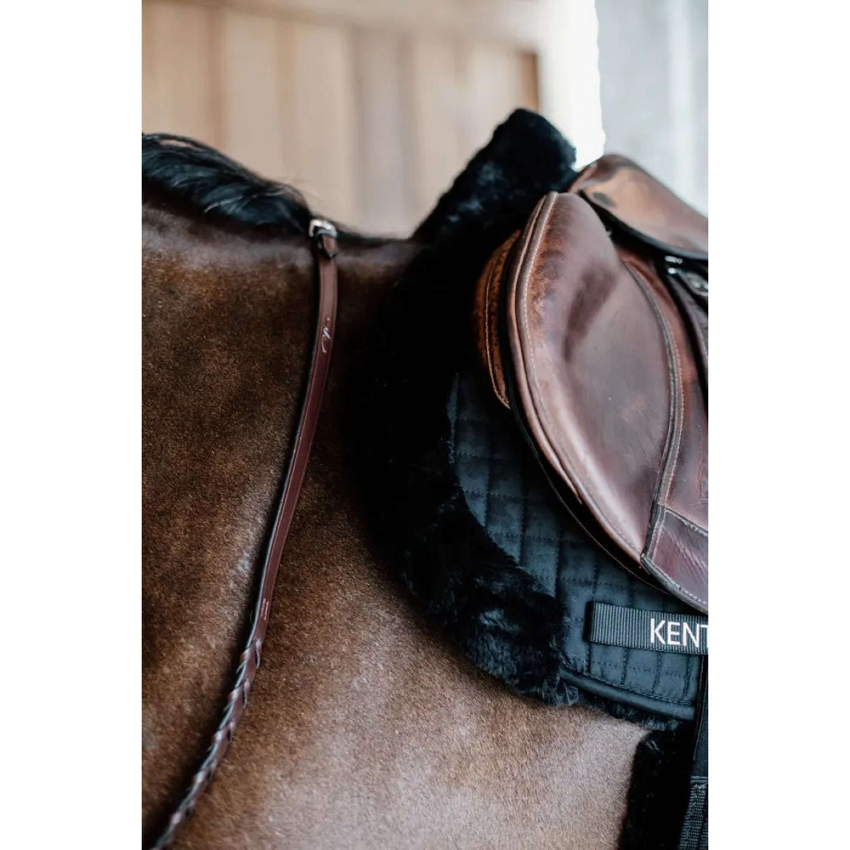 Kentucky Saddlepad Hunter Wool Jumping Black