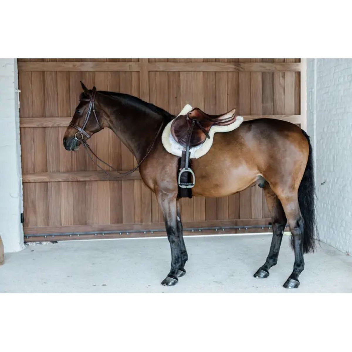 Kentucky Saddlepad Hunter Wool Jumping Naturel