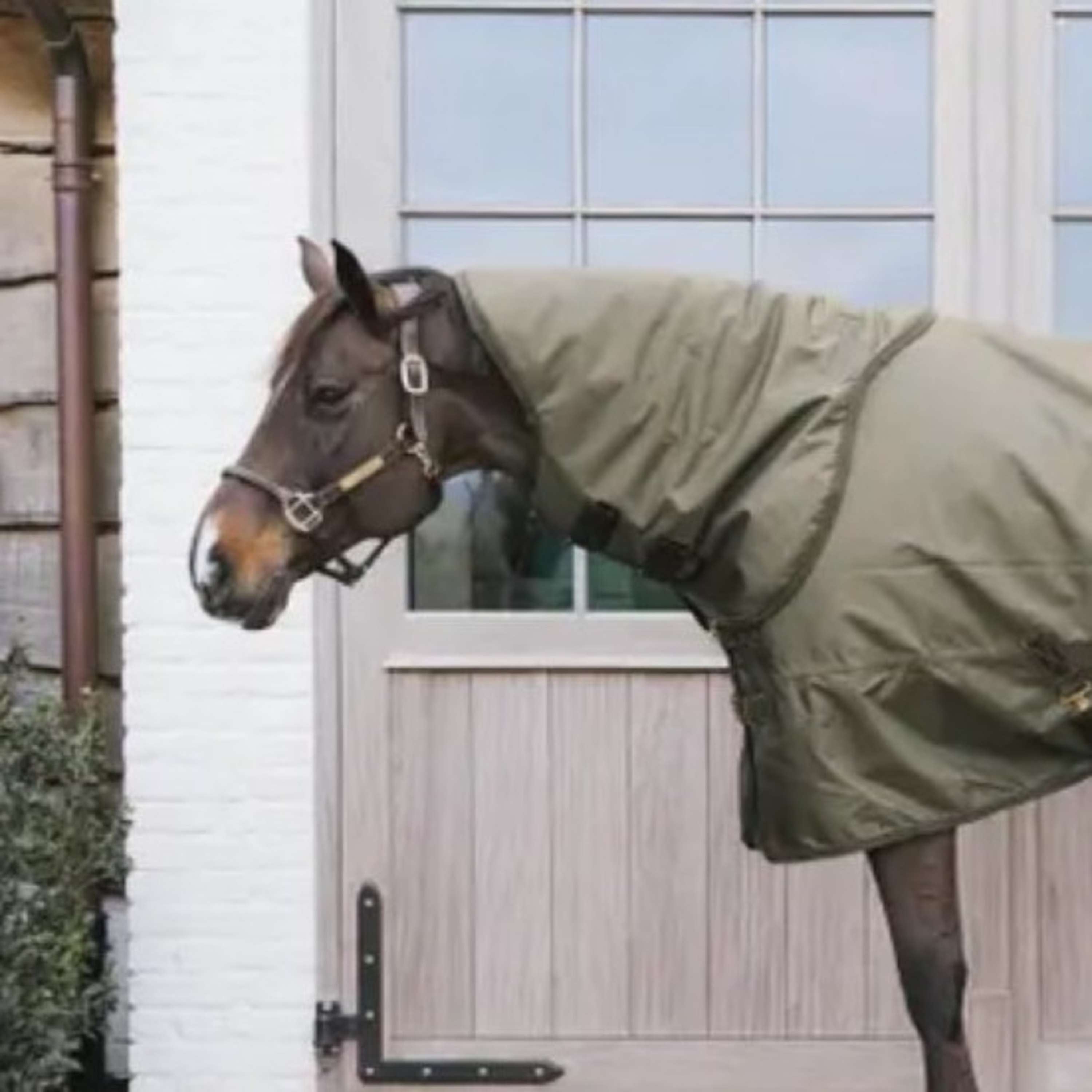 Kentucky Neck Cover All Weather 150g Kaki