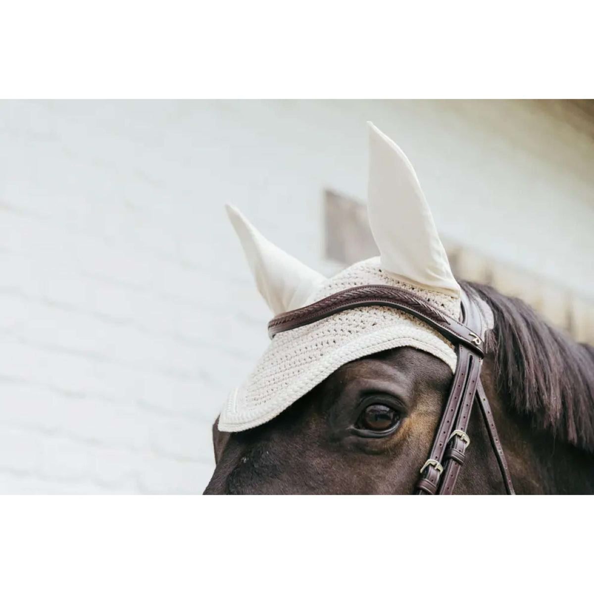 Kentucky Ear Bonnet Wellington Braided Beige