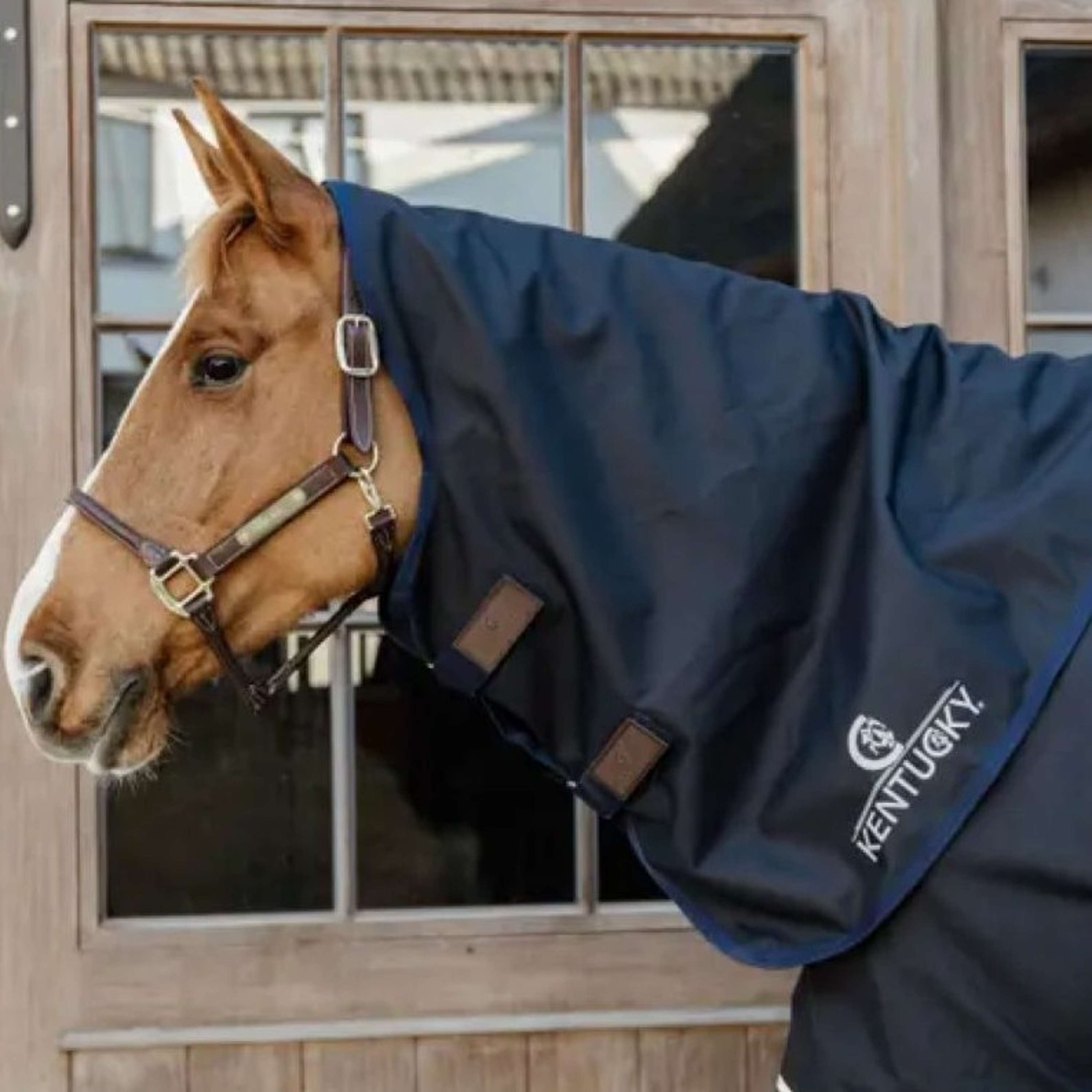 Kentucky Neck Cover All Weather Comfort Waterproof Navy
