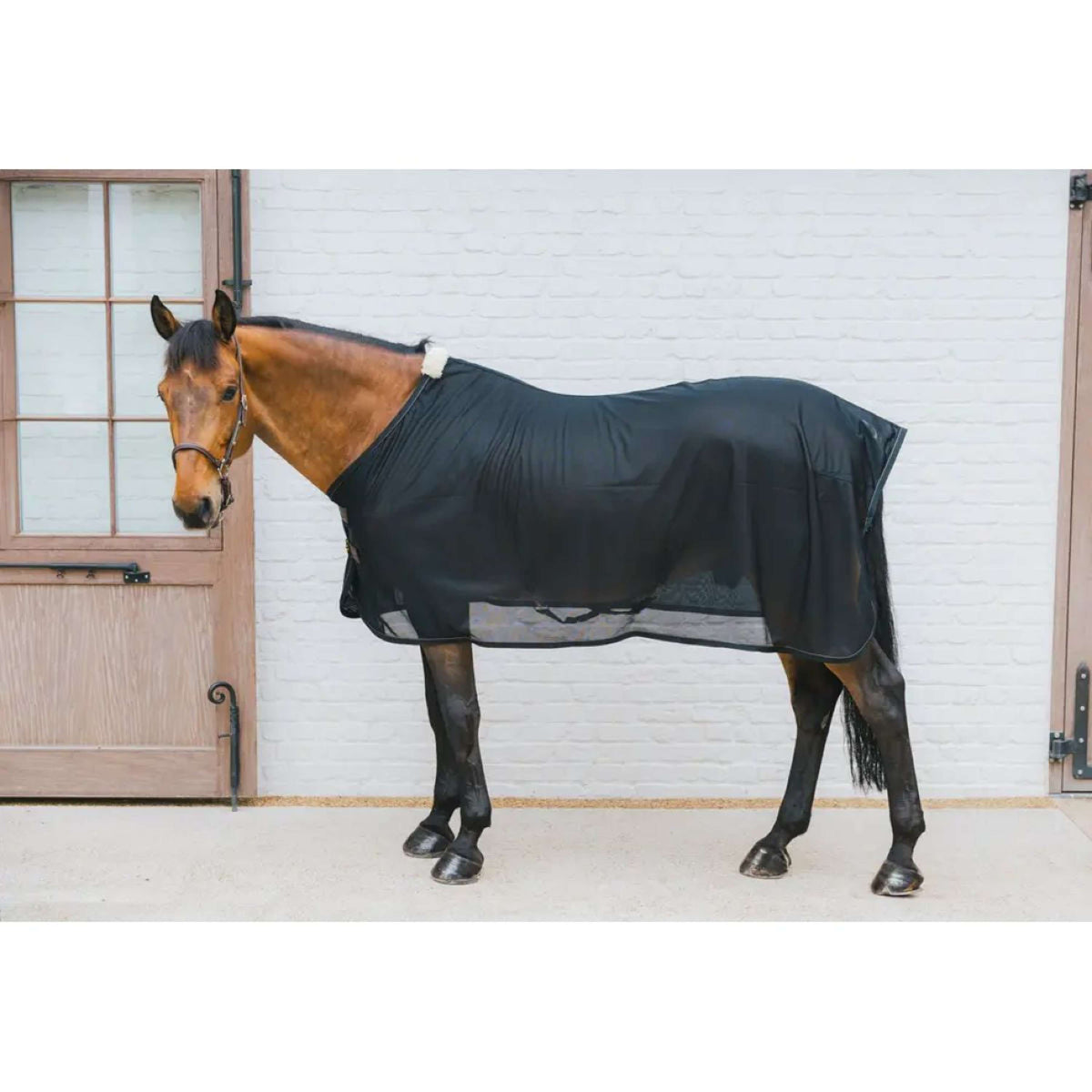 Kentucky Fly Rug Mesh Black