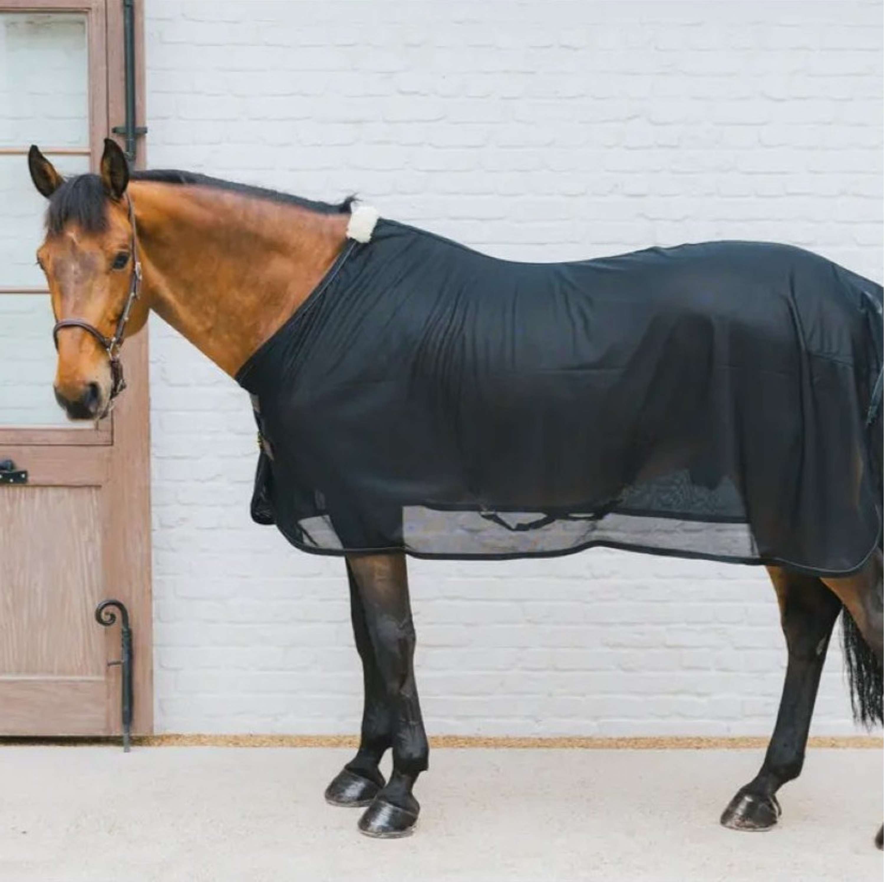 Kentucky Fly Rug Mesh Black