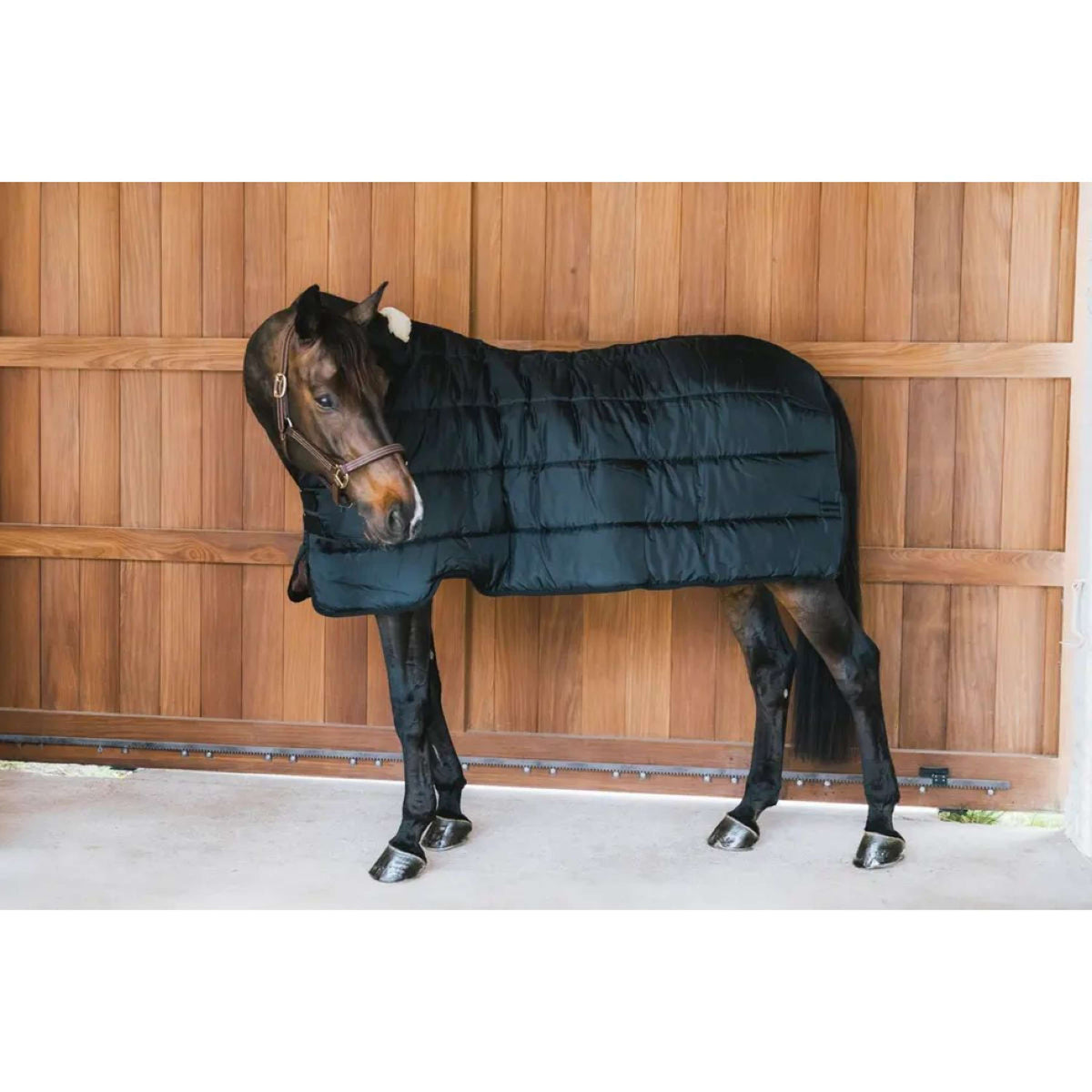 Kentucky Turnout Rug Comfort Liner Pro 100g Navy