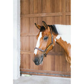 Kentucky Leather Halter Wellington Brown