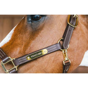 Kentucky Leather Halter Wellington Brown