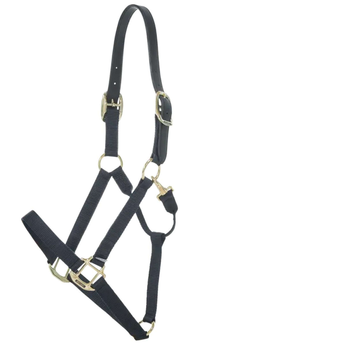 Kentucky Halter Nylon Breakaway Black