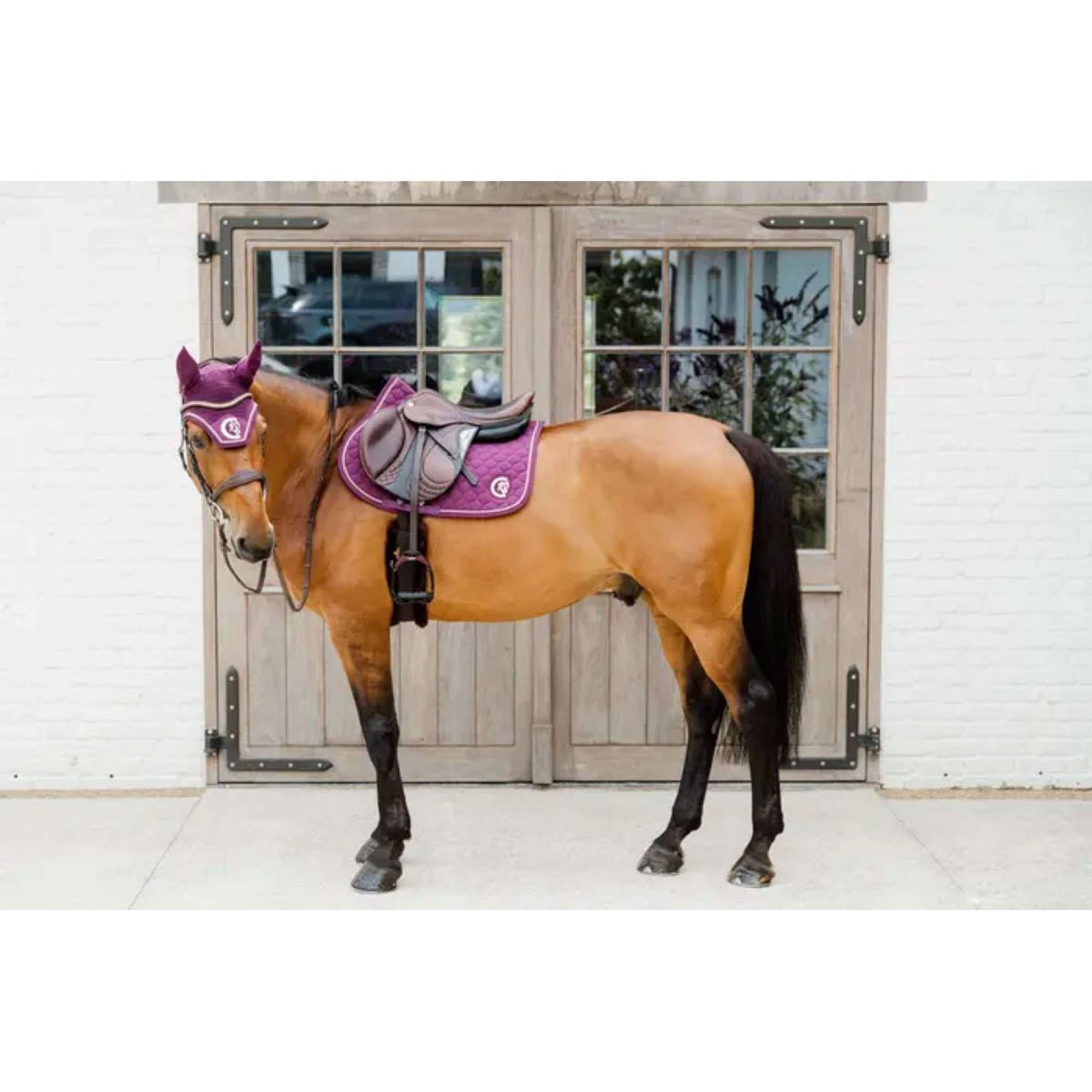 Kentucky Horsewear Ear Bonnet Wellington 3D Logo Purple