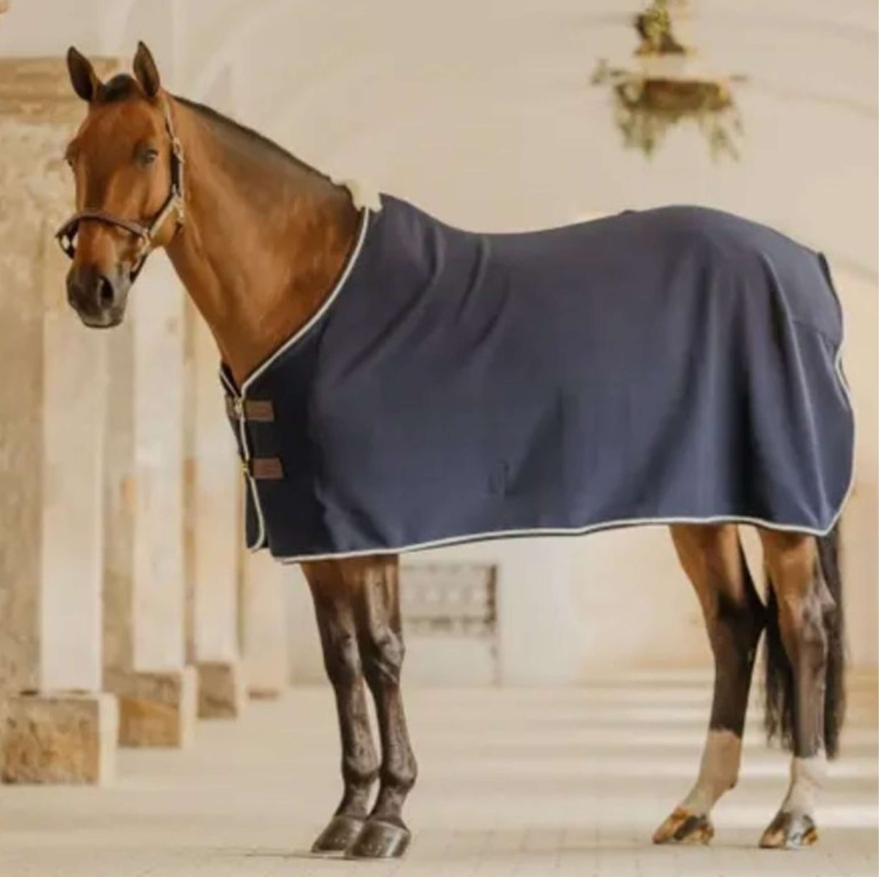 Kentucky Horsewear Fleece Rugs Show Vegan Wool Navy
