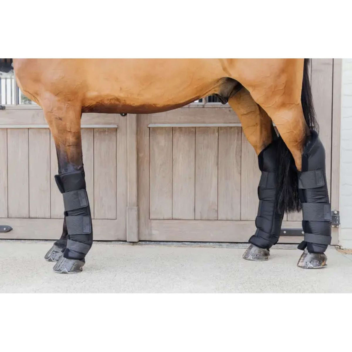 Kentucky Stable Protectors PROtect long Hind Legs Black