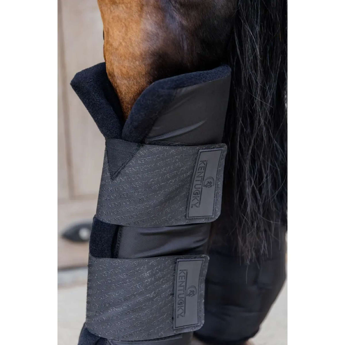 Kentucky Stable Protector PROtect Classic Back Black