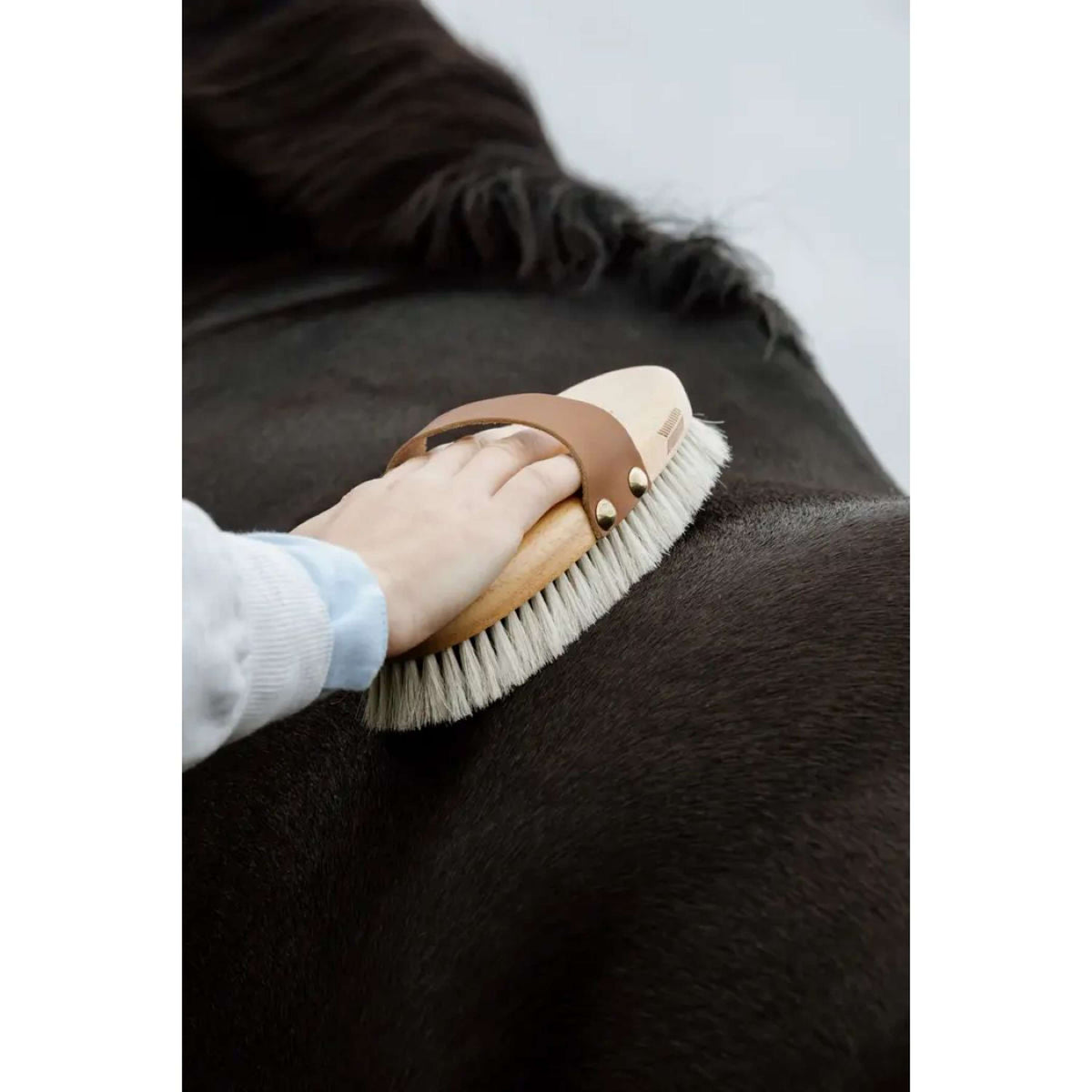 Kentucky Horsewear Brush Shine