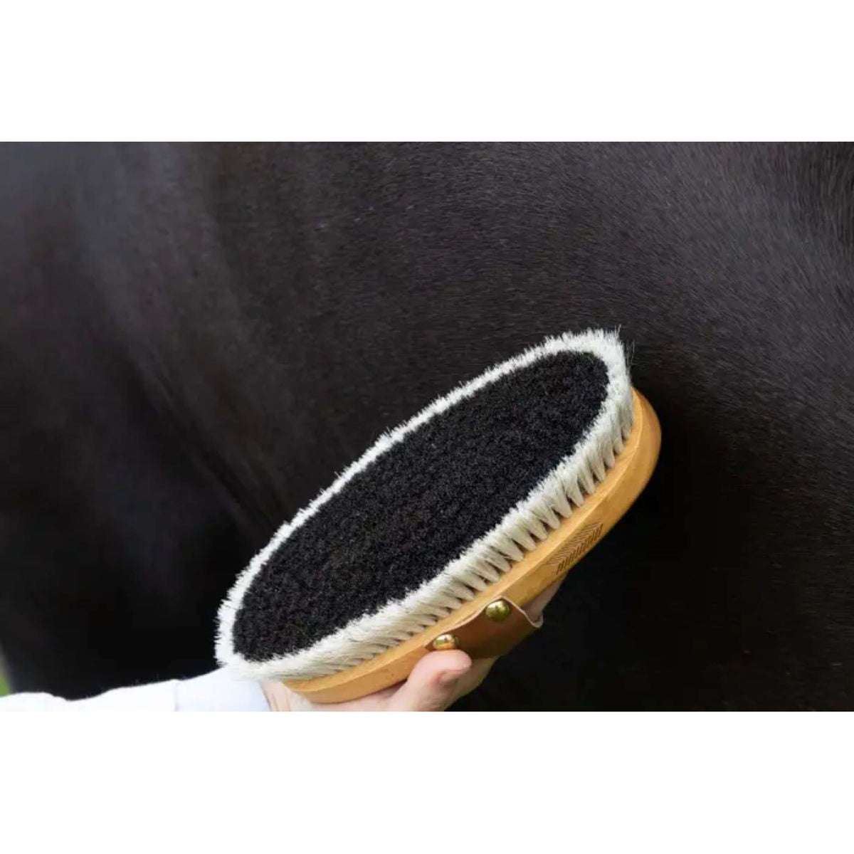 Kentucky Horsewear Brush Shine