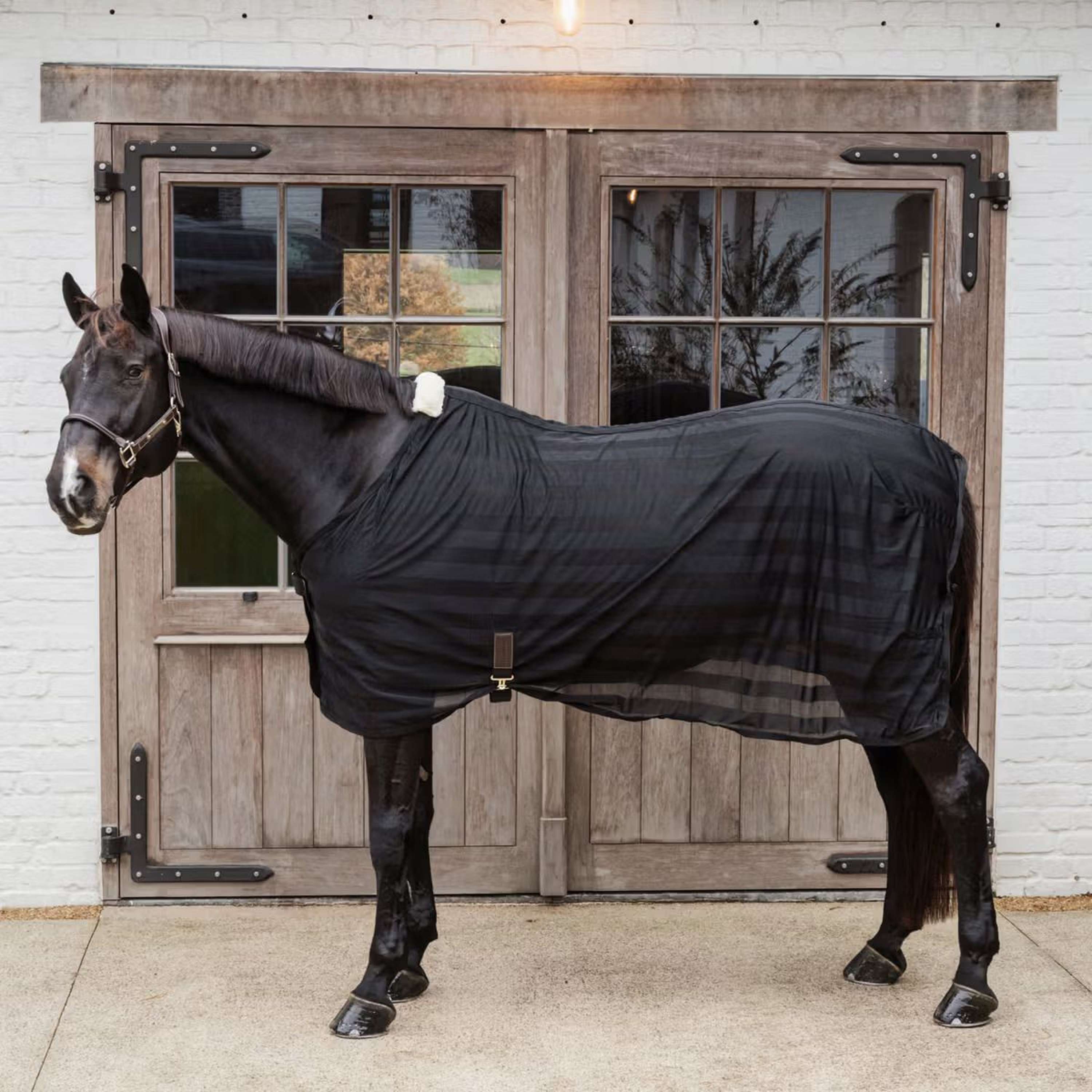Kentucky Horsewear Fly Rug Light Striped Mesh Black