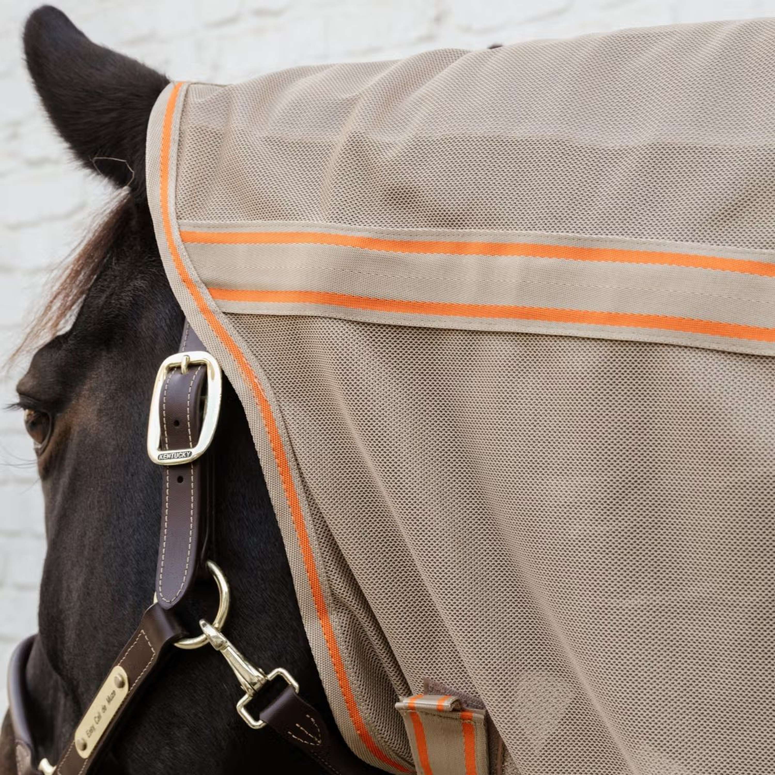 Kentucky Horsewear Fly Rug Comfort Mesh Beige/Orange