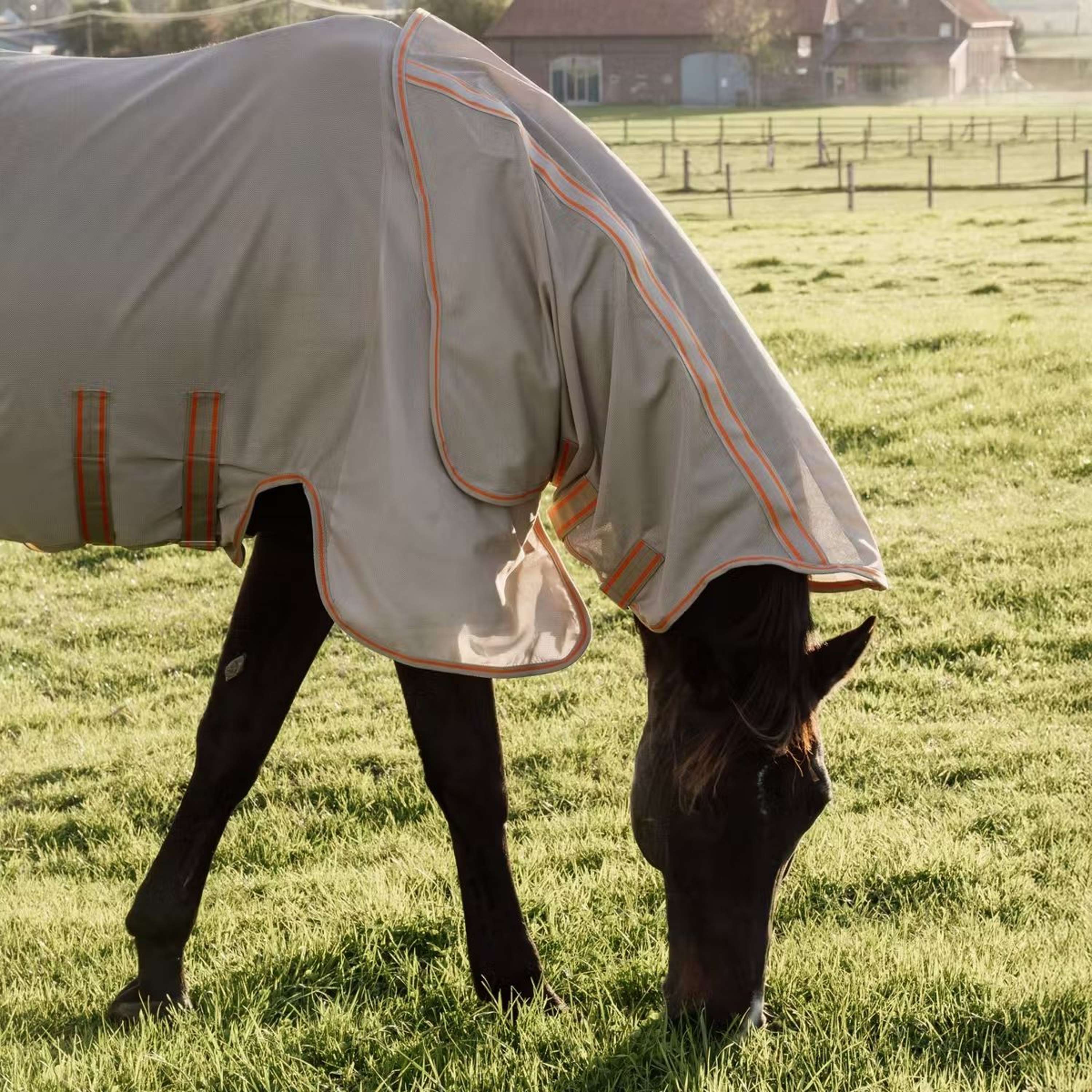 Kentucky Horsewear Fly Rug Comfort Mesh Beige/Orange