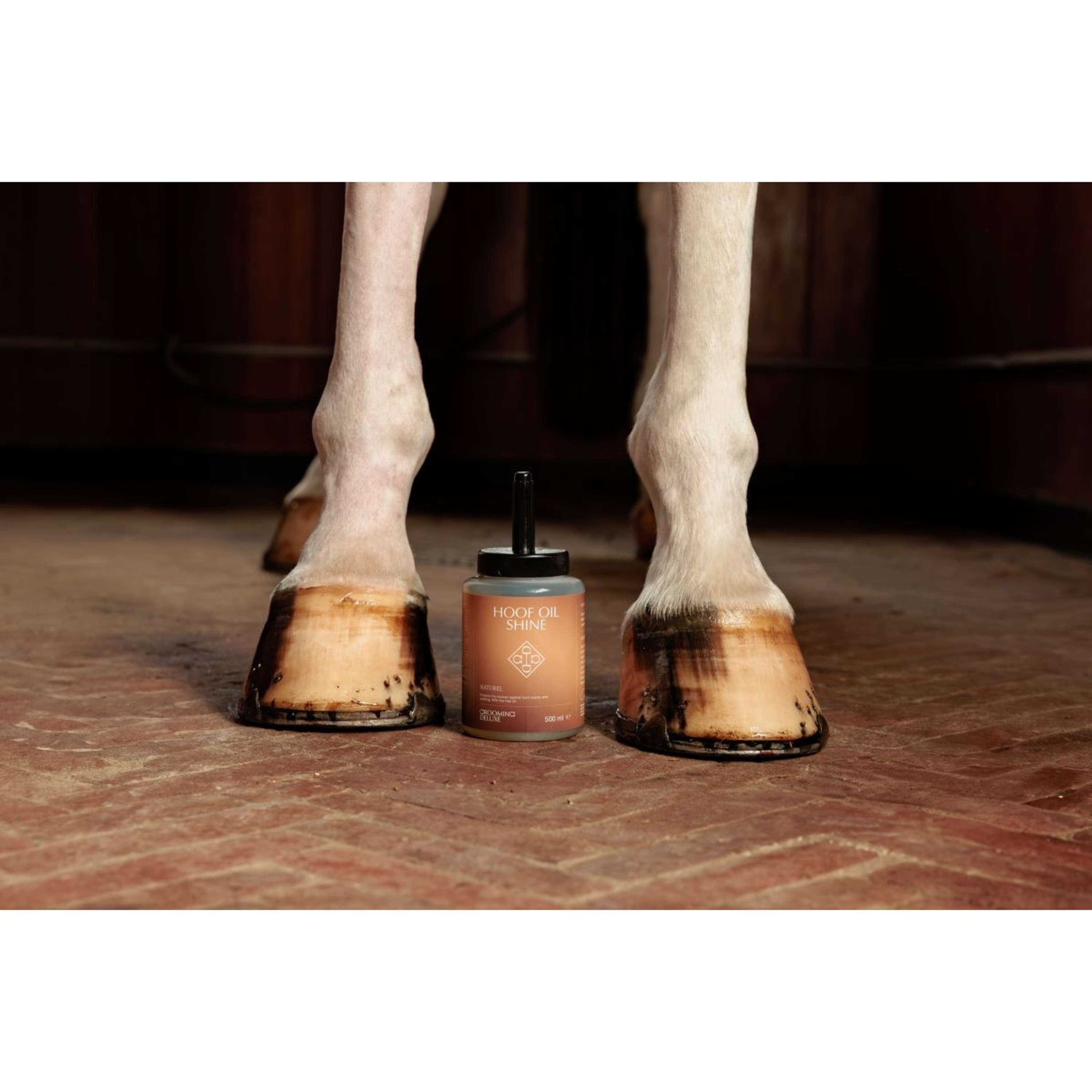 Grooming Deluxe by Kentucky Hoof Oil Shine Naturel