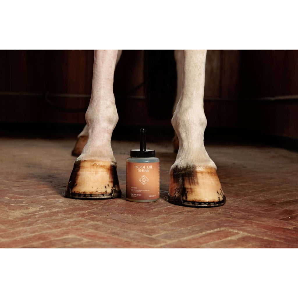 Grooming Deluxe by Kentucky Hoof Oil Shine Naturel