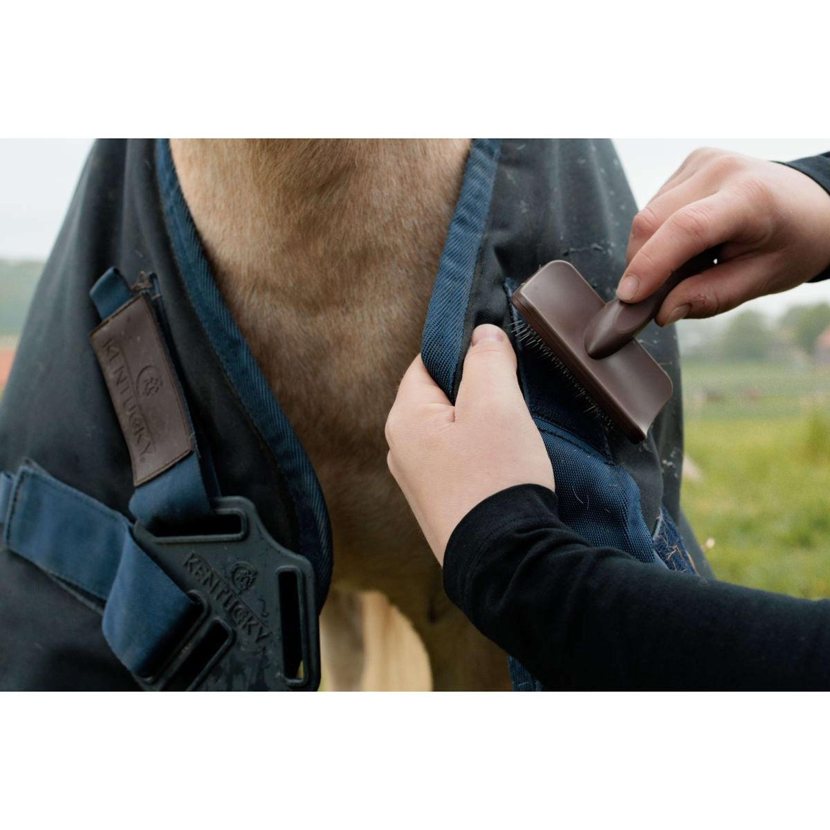 Grooming Deluxe by Kentucky Velcro Cleaning Brush Brown