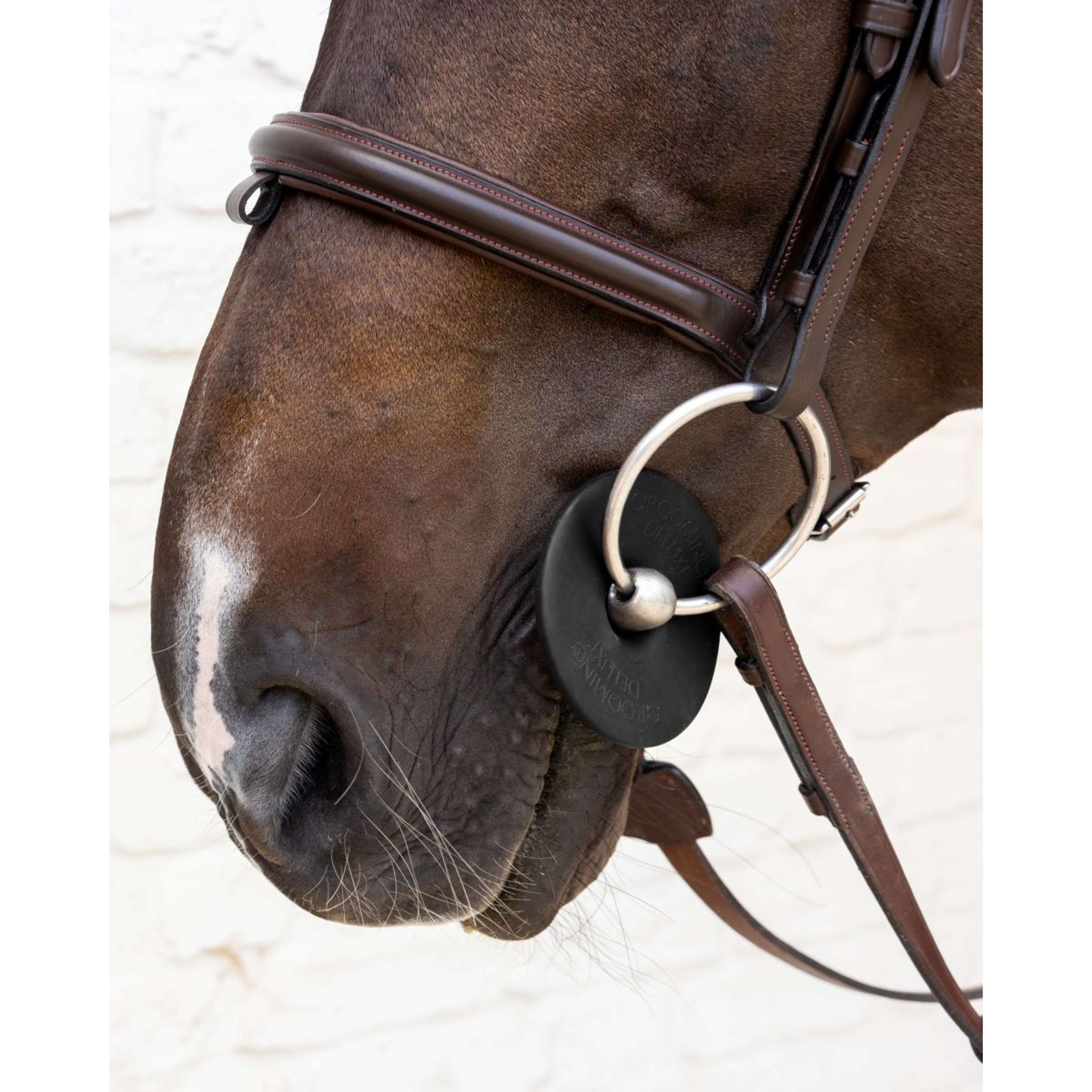 Kentucky Bit Rings Bit Ring Black
