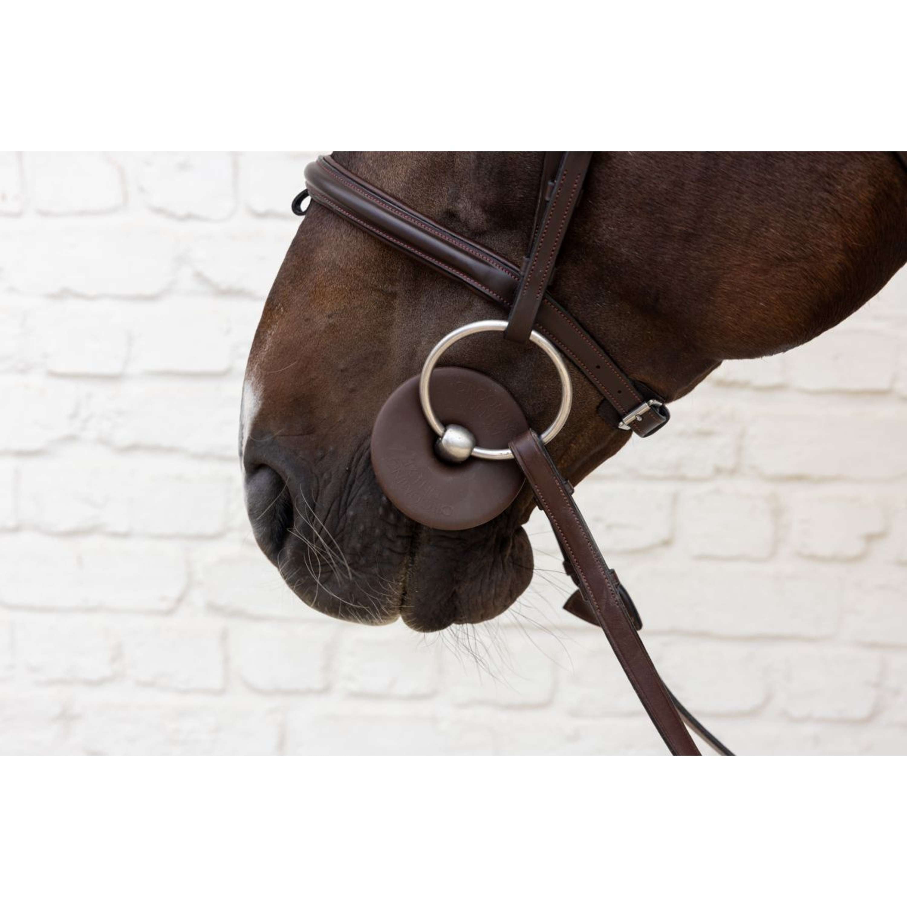 Kentucky Bit Rings Bit Ring Brown