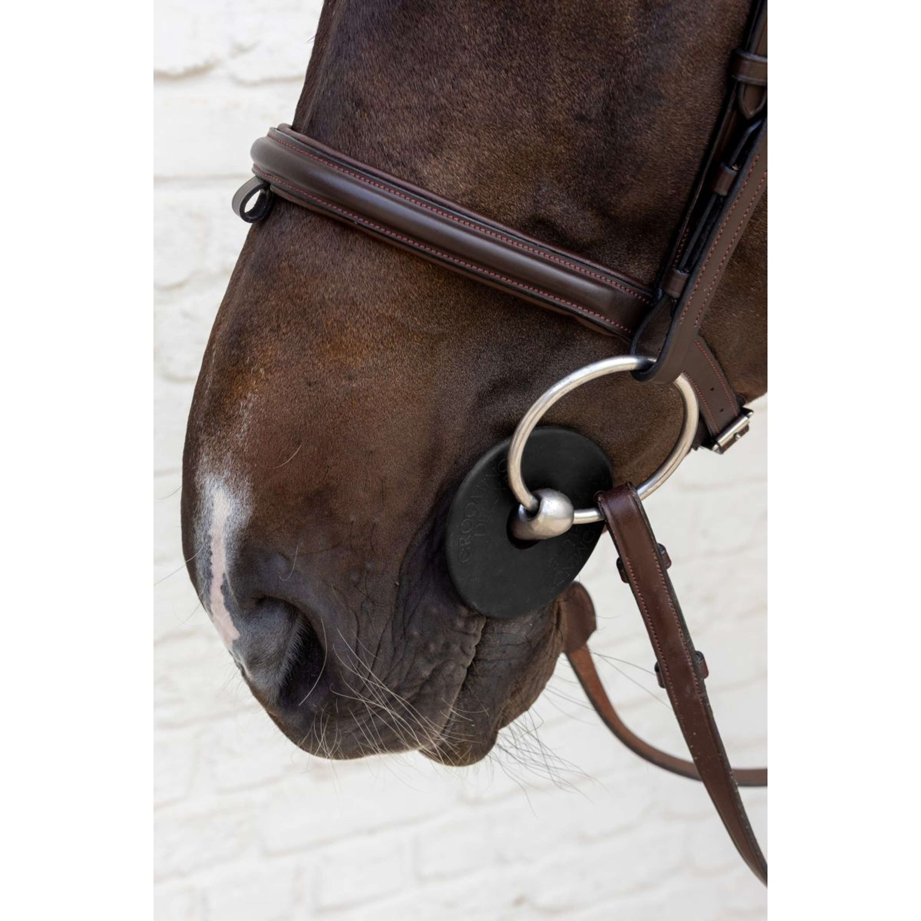 Kentucky Bit Rings Bit Guard Black