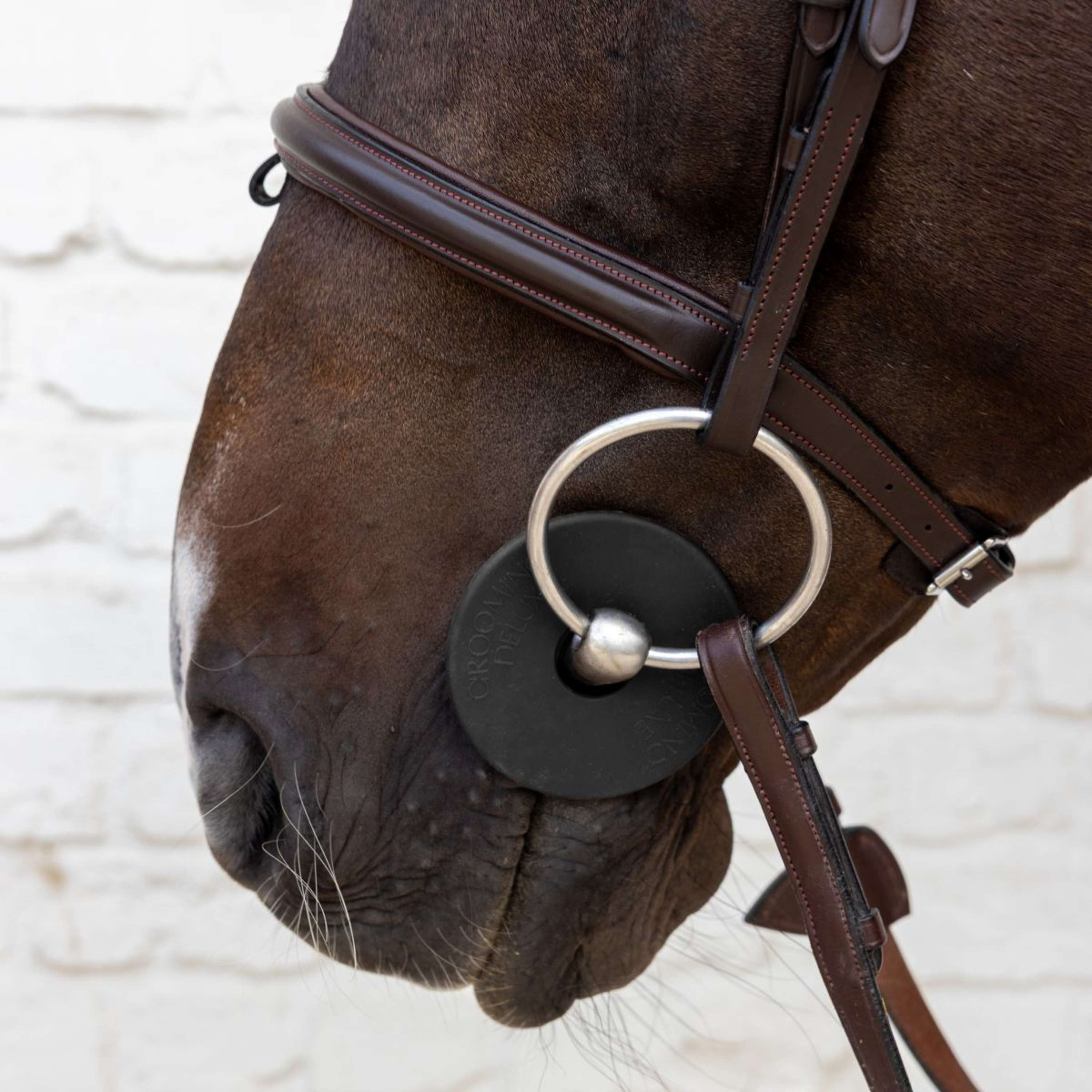 Kentucky Bit Rings Bit Guard Black