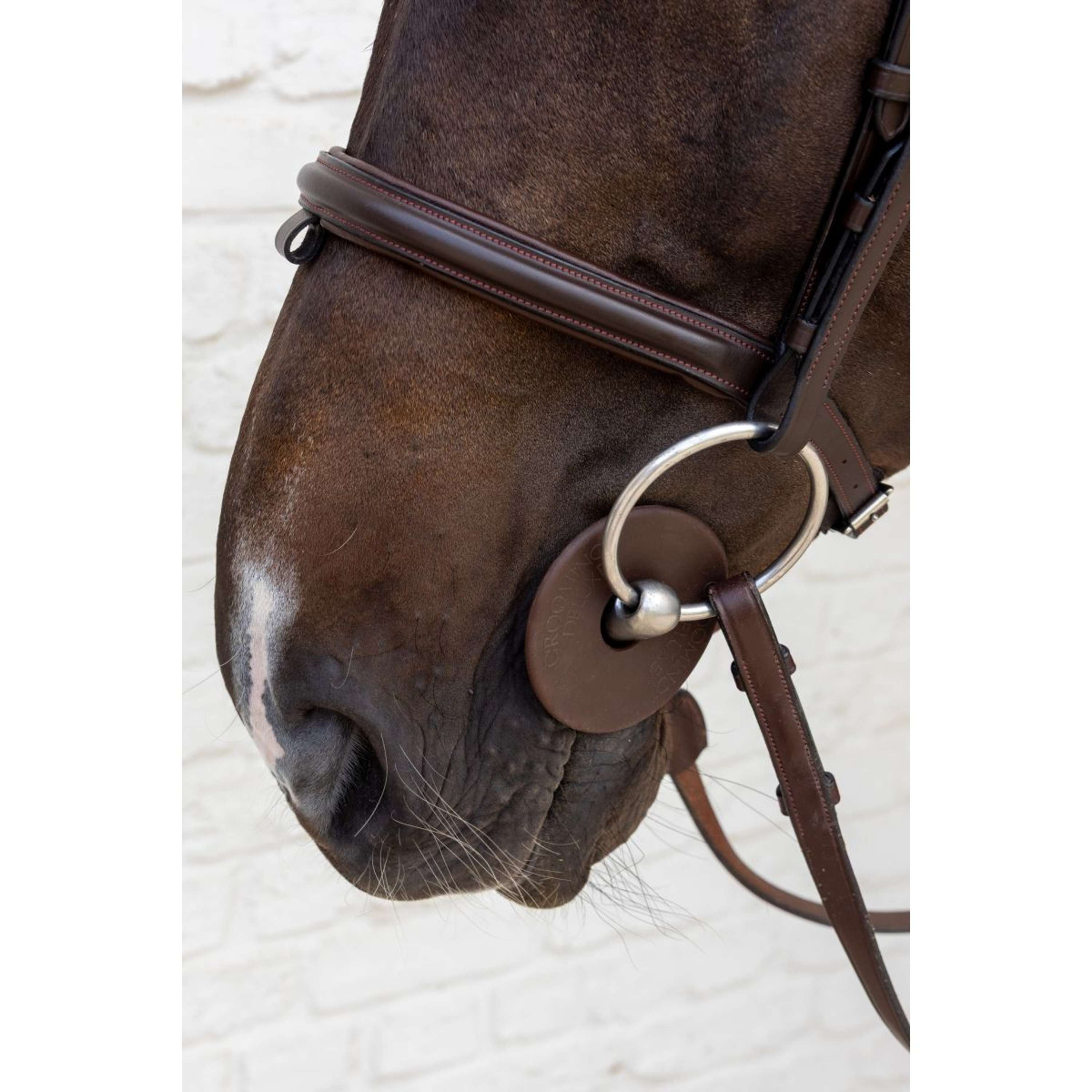 Kentucky Bit Rings Bit Guard Brown