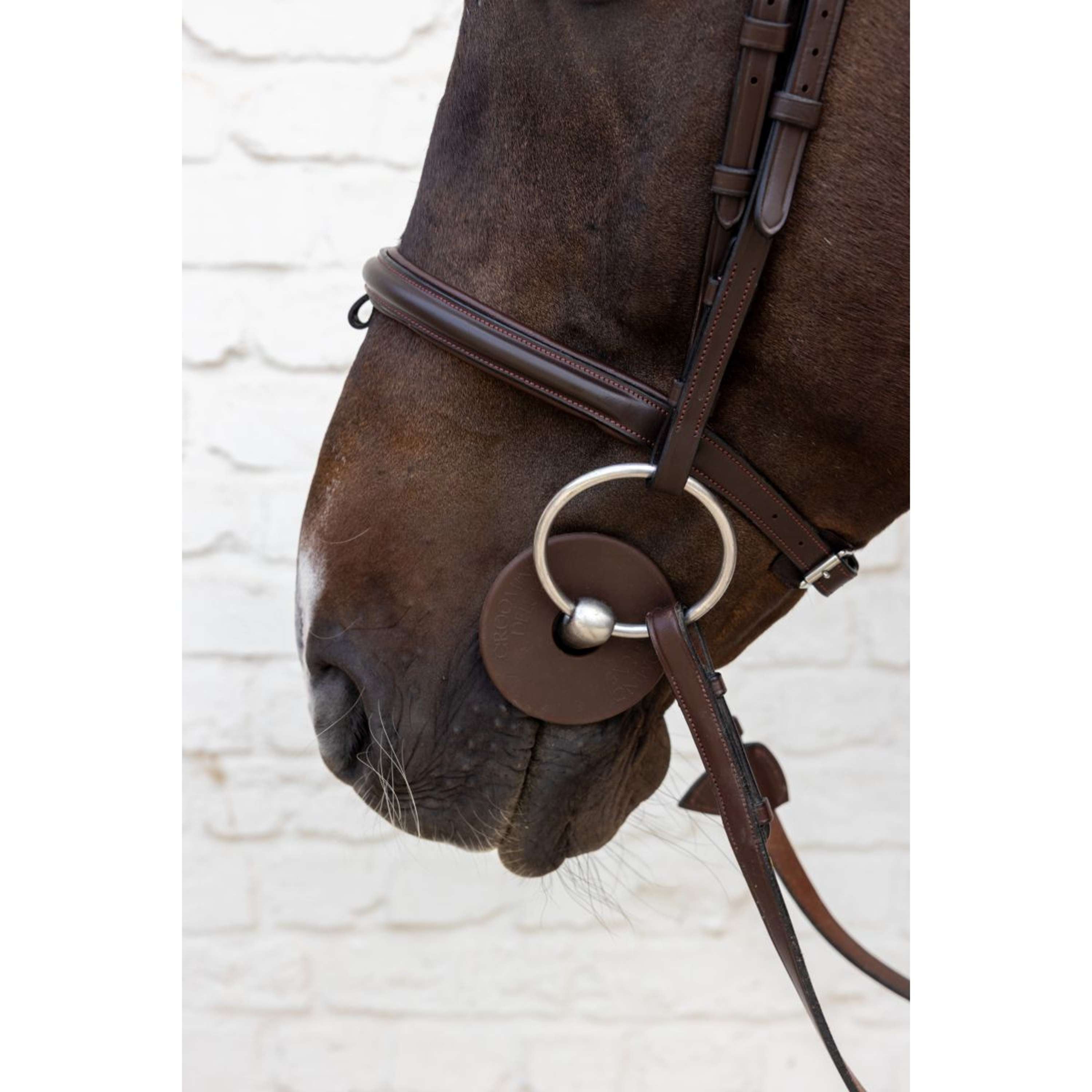Kentucky Bit Rings Bit Guard Brown