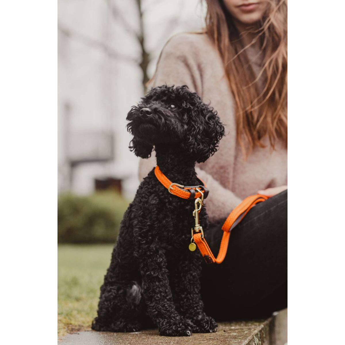 Kentucky Collar Plaited Nylon Orange