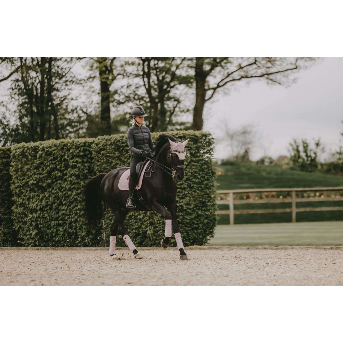 Kentucky Saddlepad Velvet Pearls Dressage Soft Rose