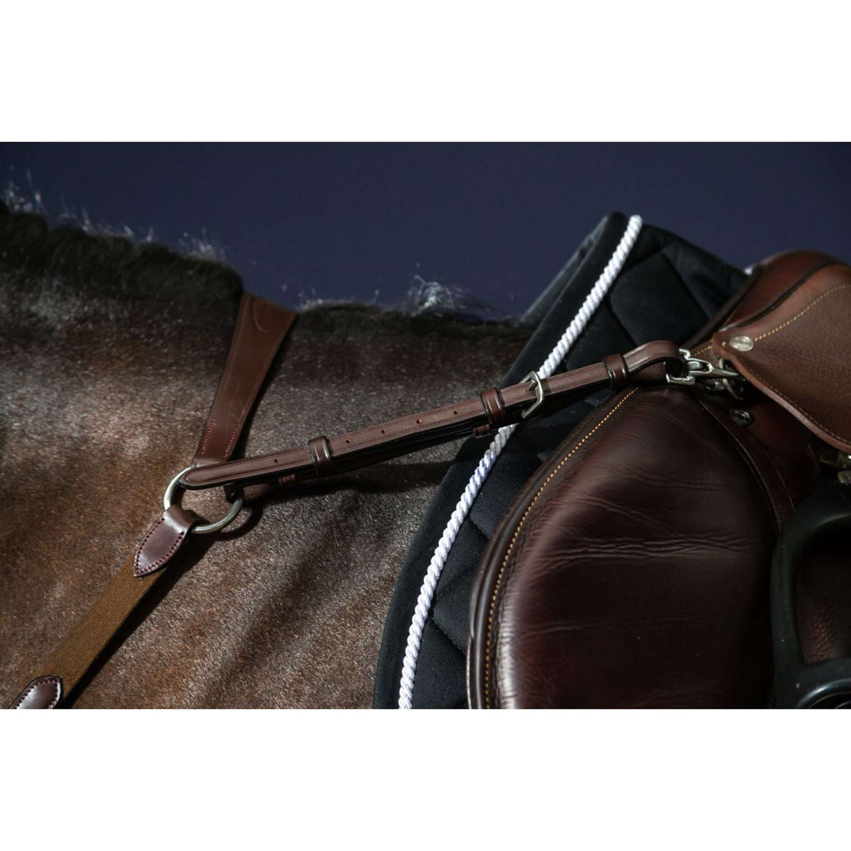 Dyon Chest Buckle Bridge New English Collection Brown