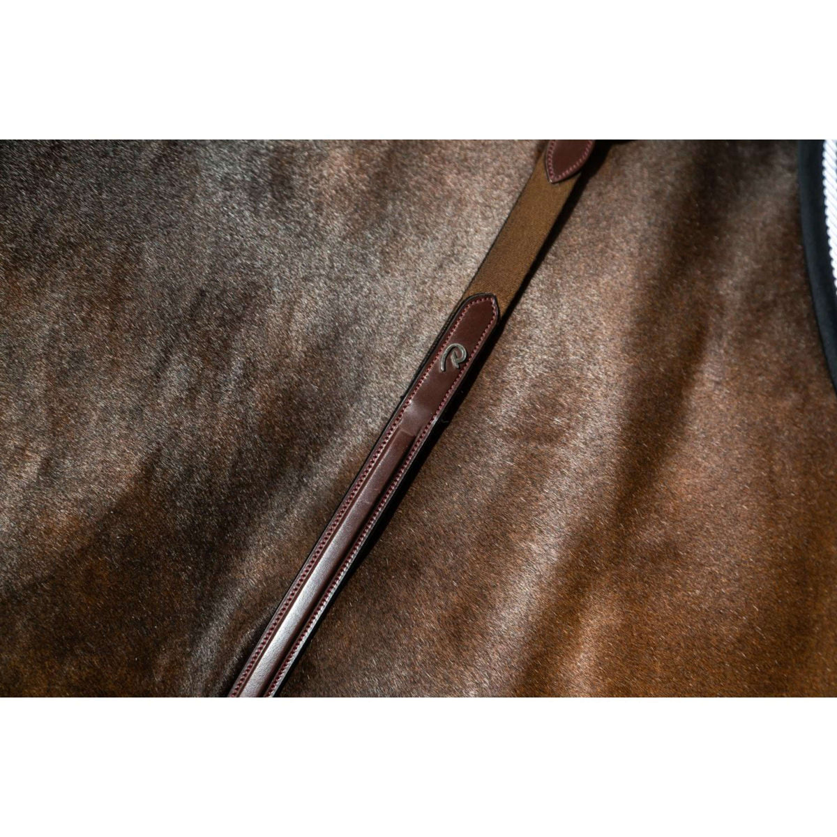 Dyon Chest Buckle Bridge New English Collection Brown