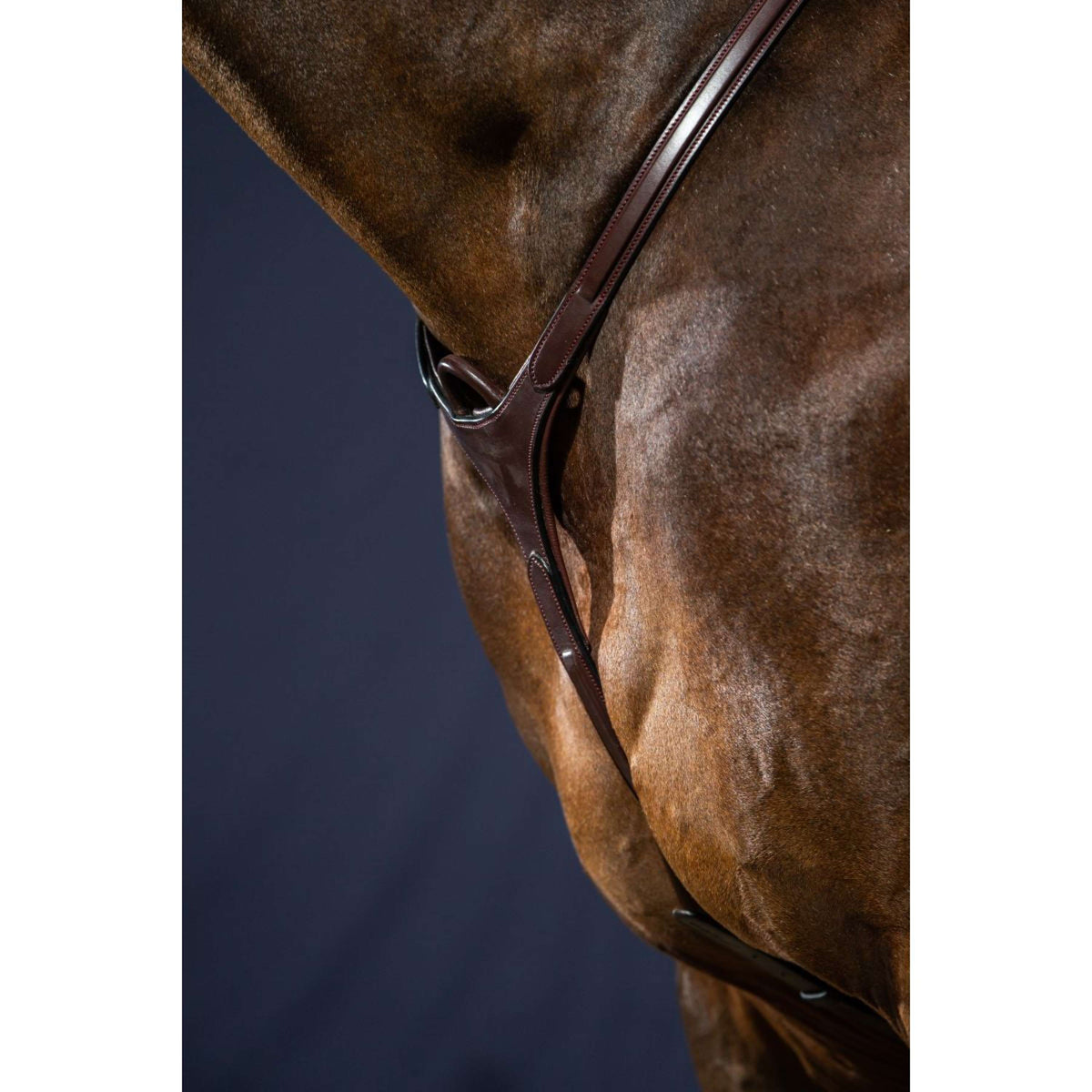 Dyon Chest Buckle Bridge New English Collection Brown