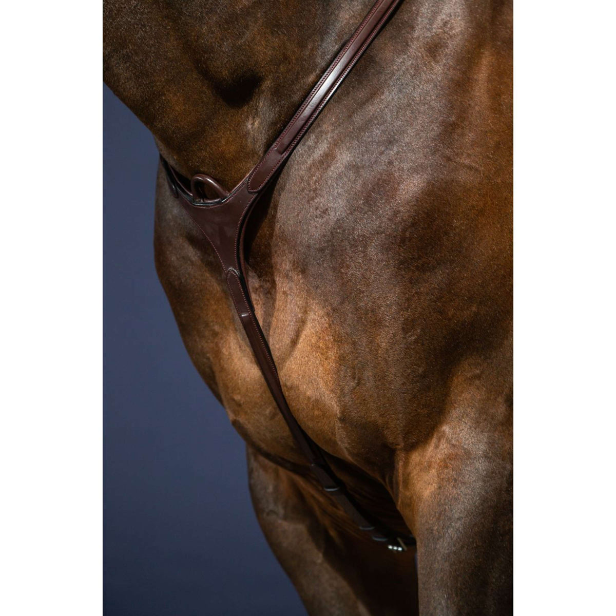 Dyon Chest Buckle Bridge New English Collection Brown