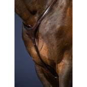 Dyon Chest Buckle Bridge New English Collection Brown