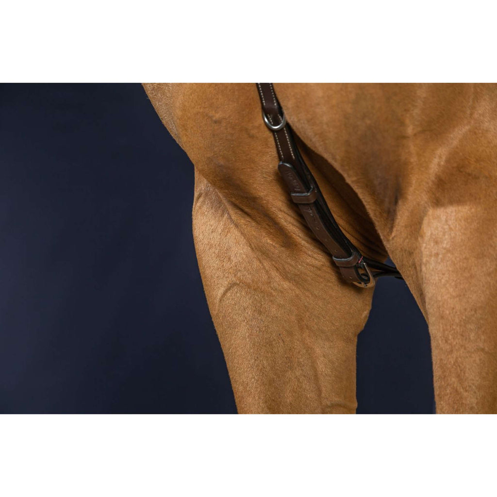 Dyon Chest Buckle Bridge Working by Dyon Brown