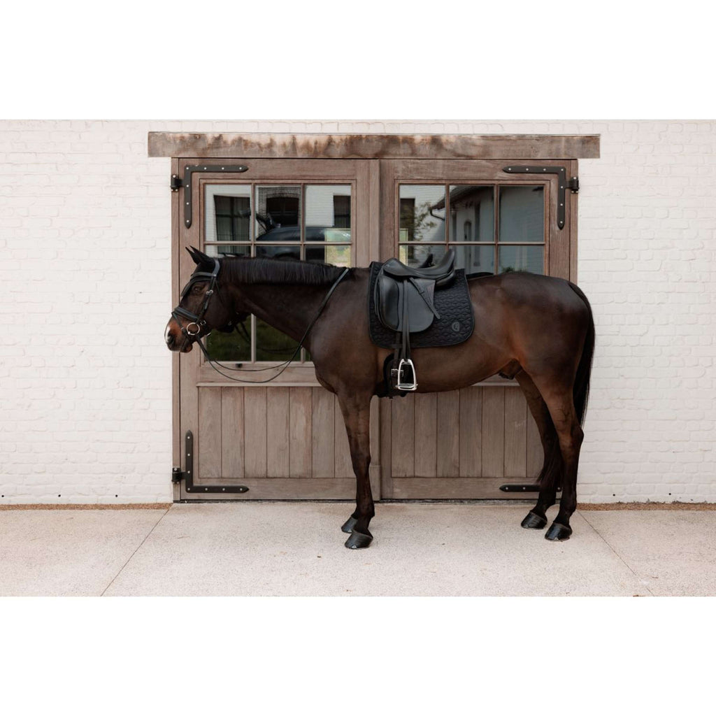 Kentucky Ear Bonnet Wellington Sparkling Logo Black