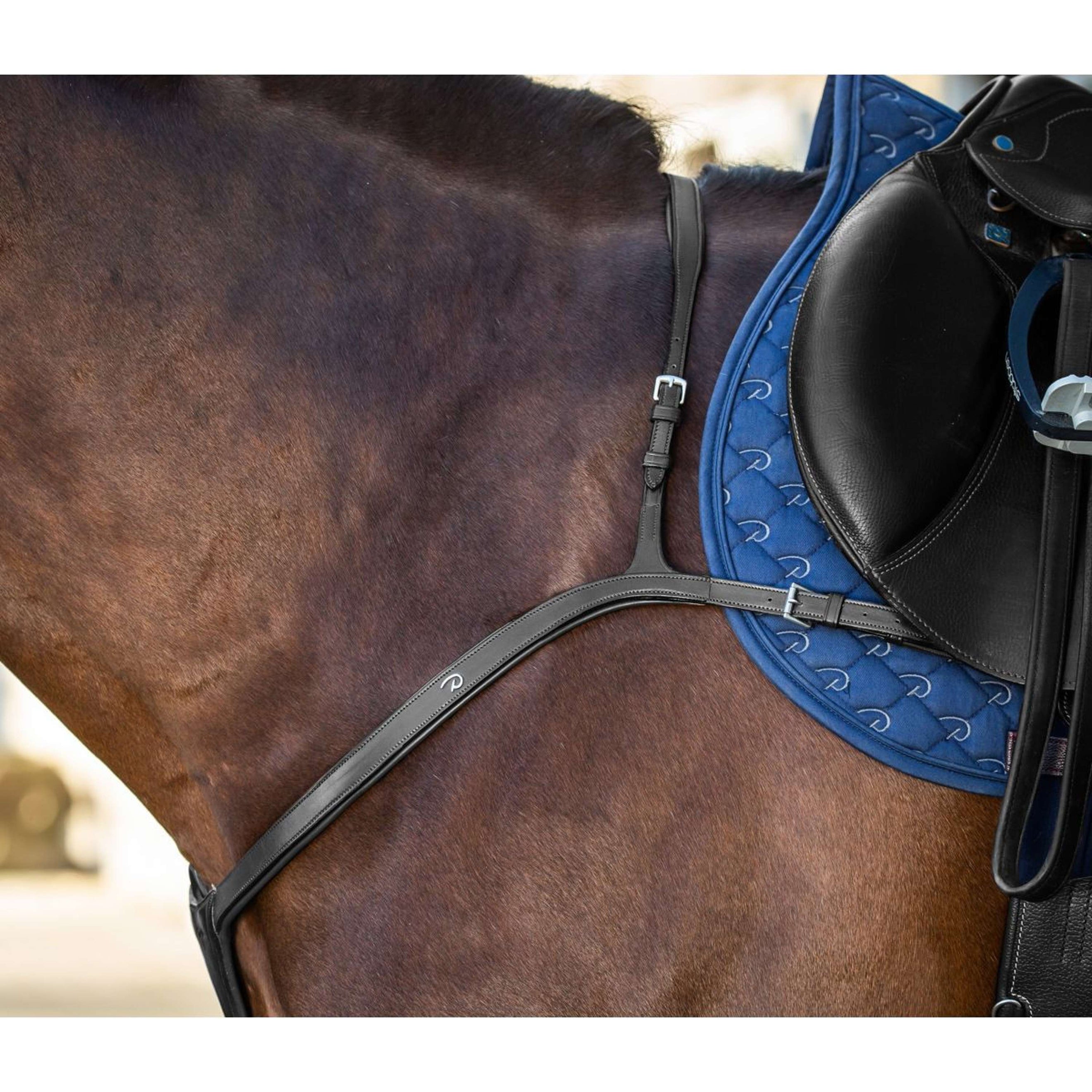 Dyon Chest Buckle Long Bridge New English Collection Black