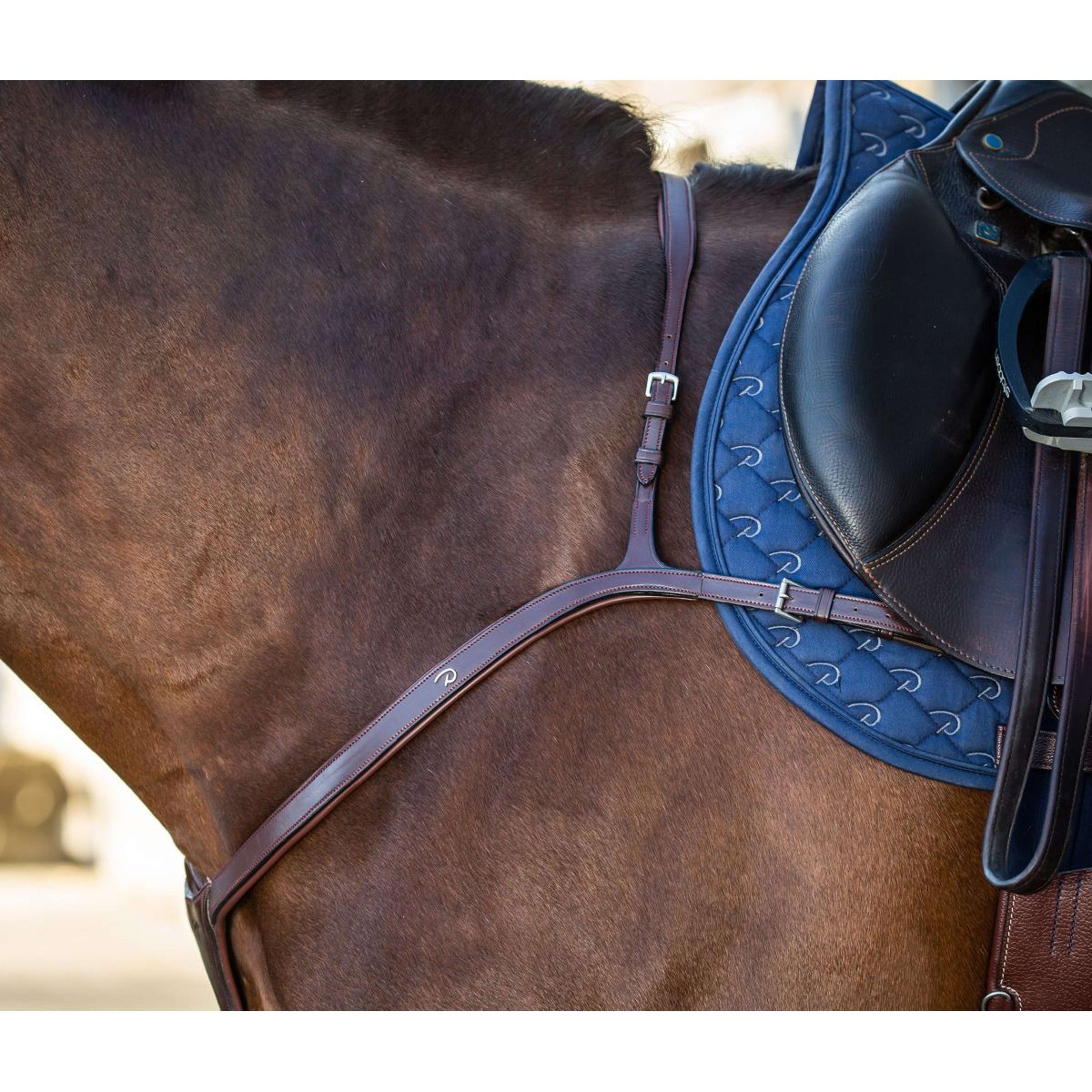 Dyon Chest Buckle Long Bridge New English Collection Brown