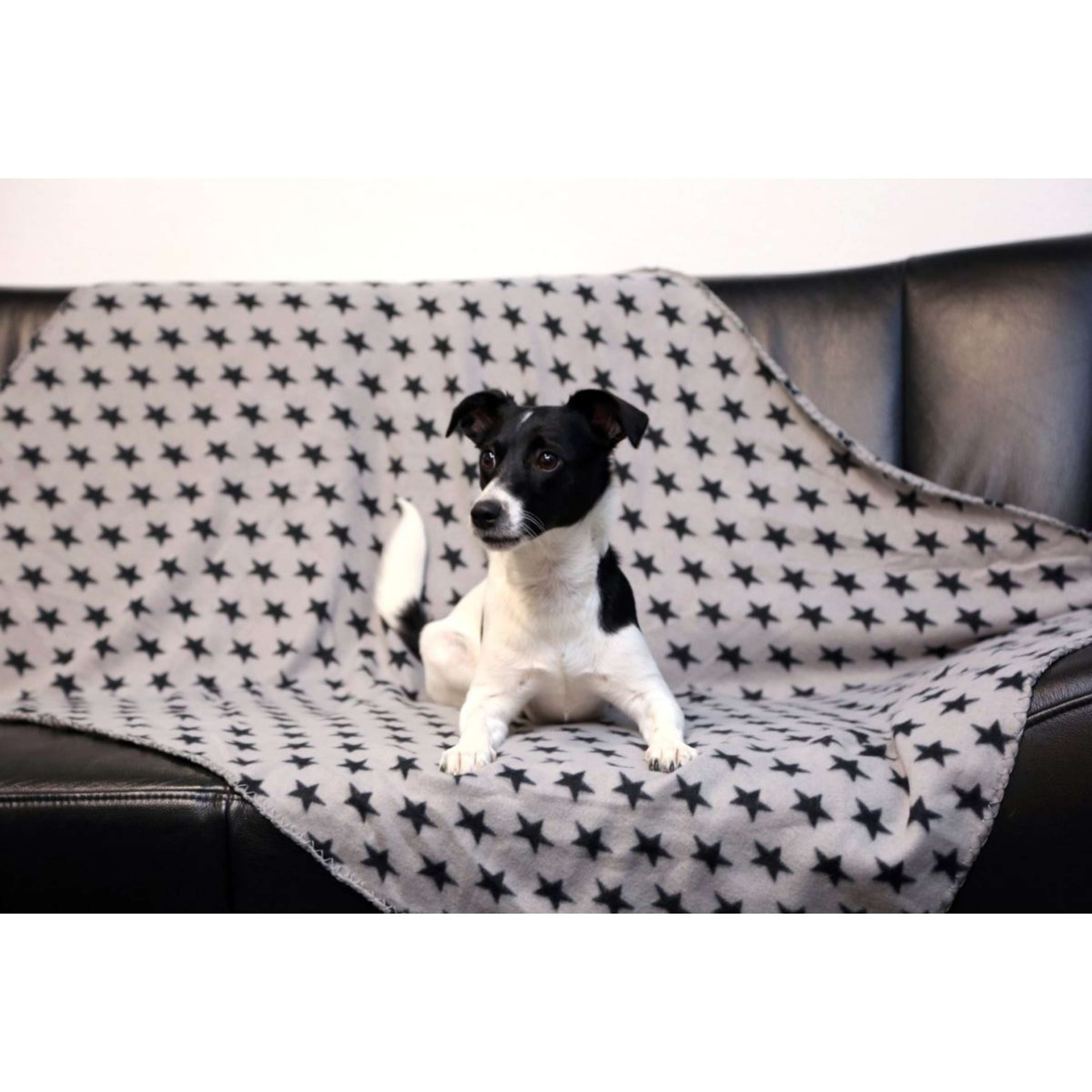 Kerbl Dog Blanket Stella Grey