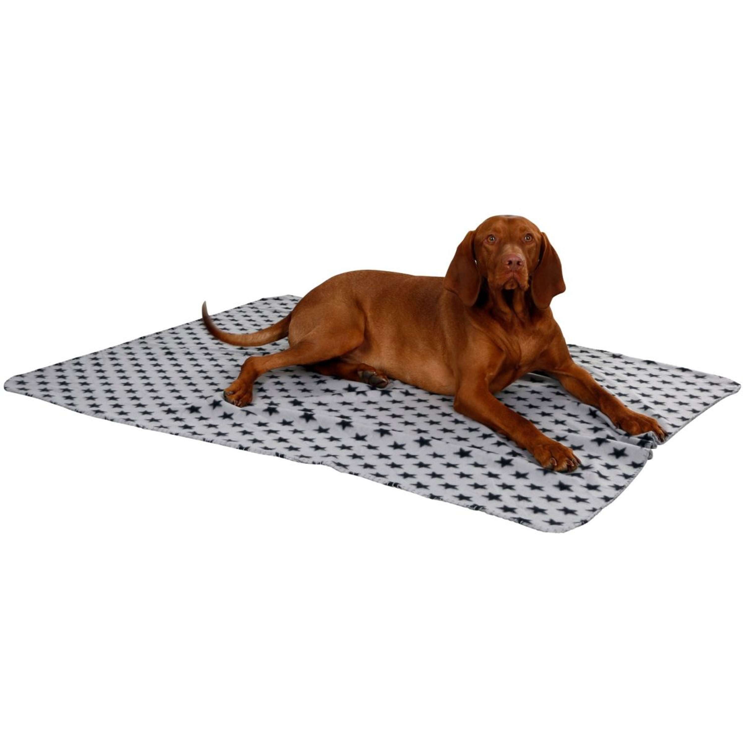 Kerbl Dog Blanket Stella Grey
